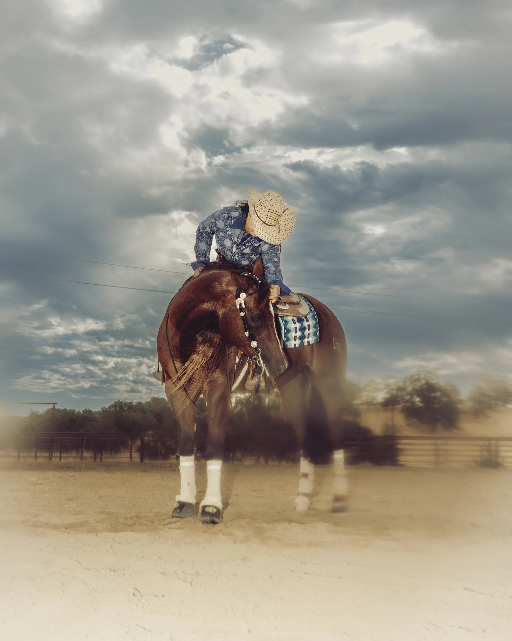 HORSE_REINING_DACOSTA-11.jpg