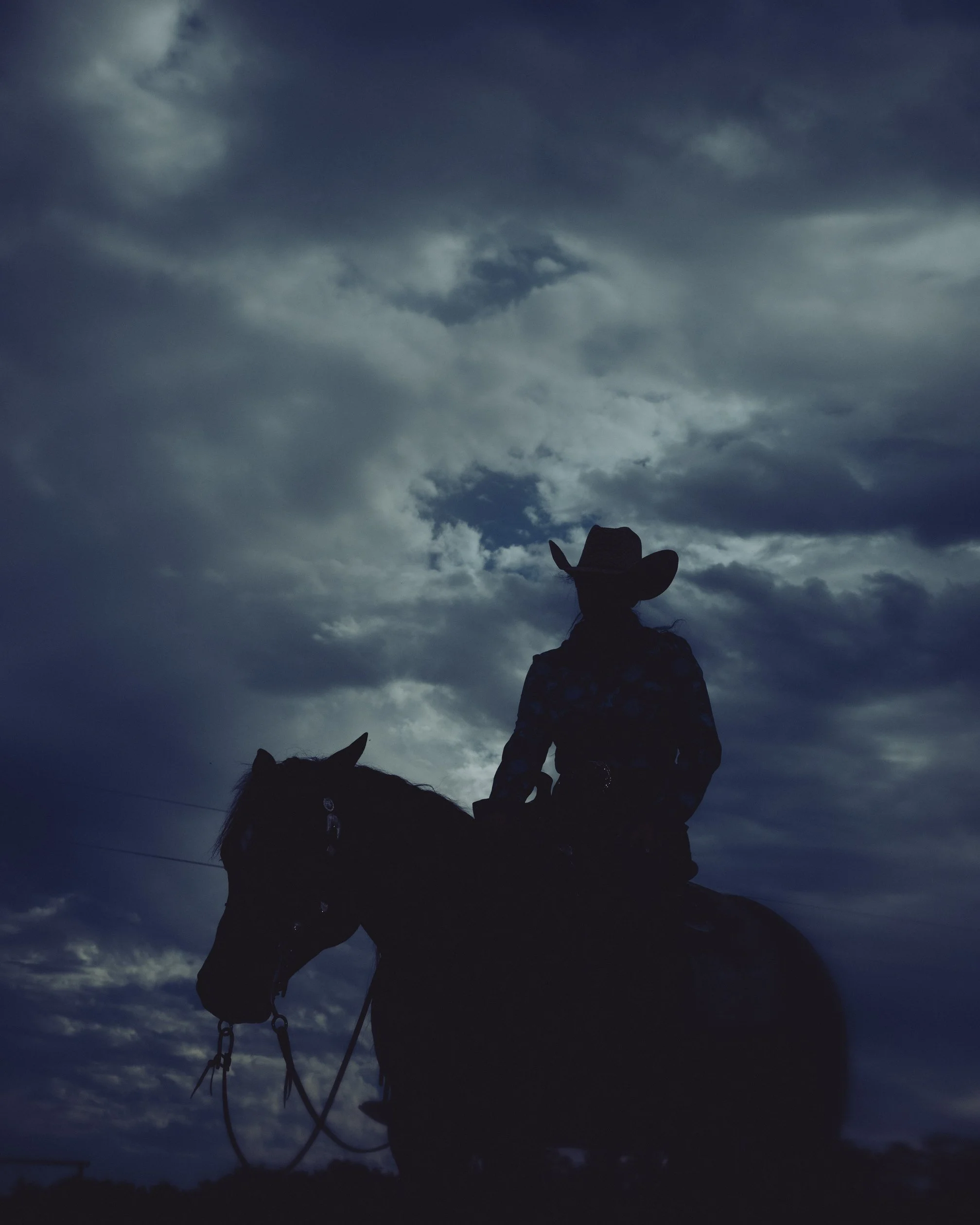 HORSE_REINING_DACOSTA-12.jpg