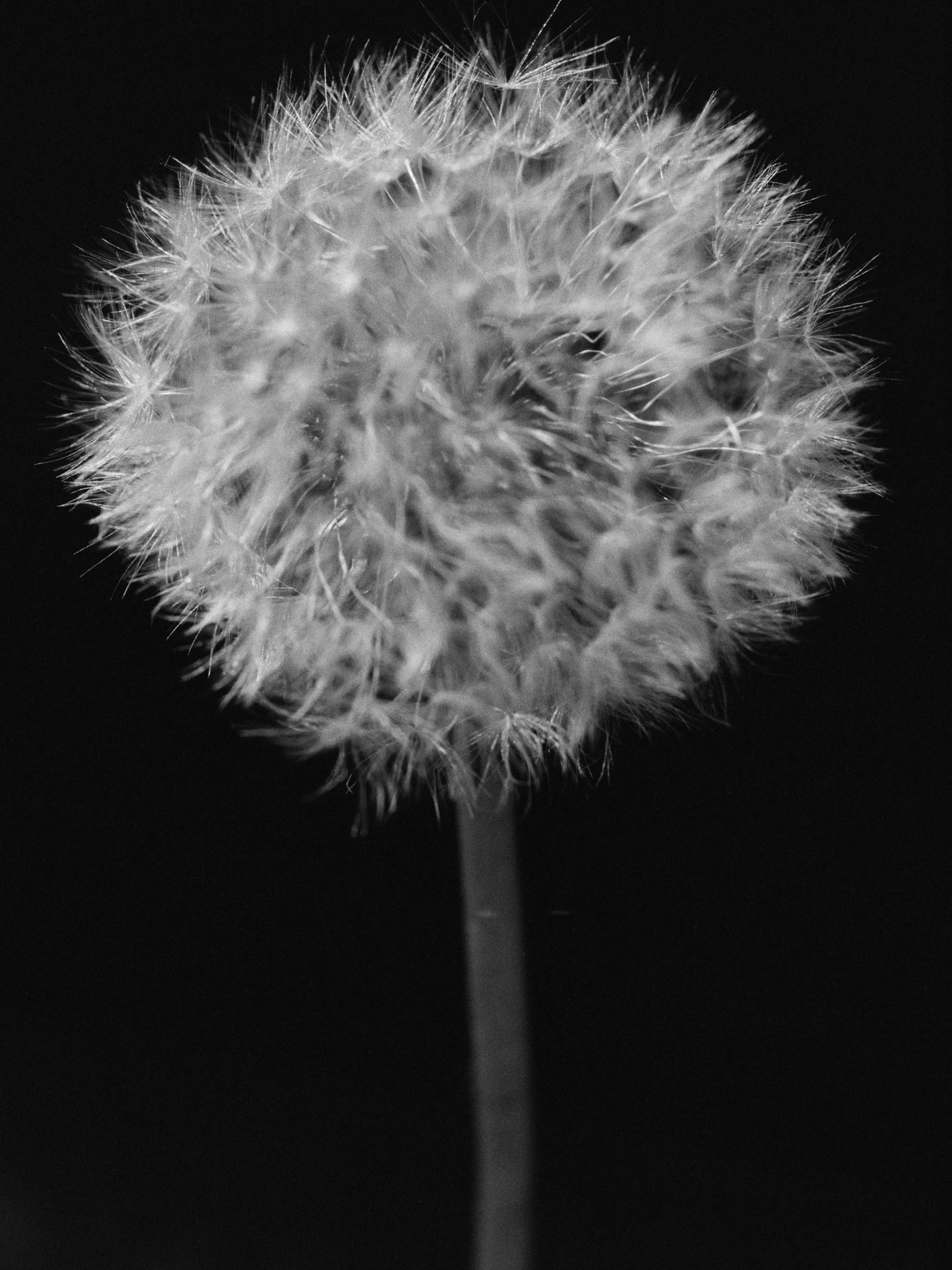 181736_r1781fr13.jpg