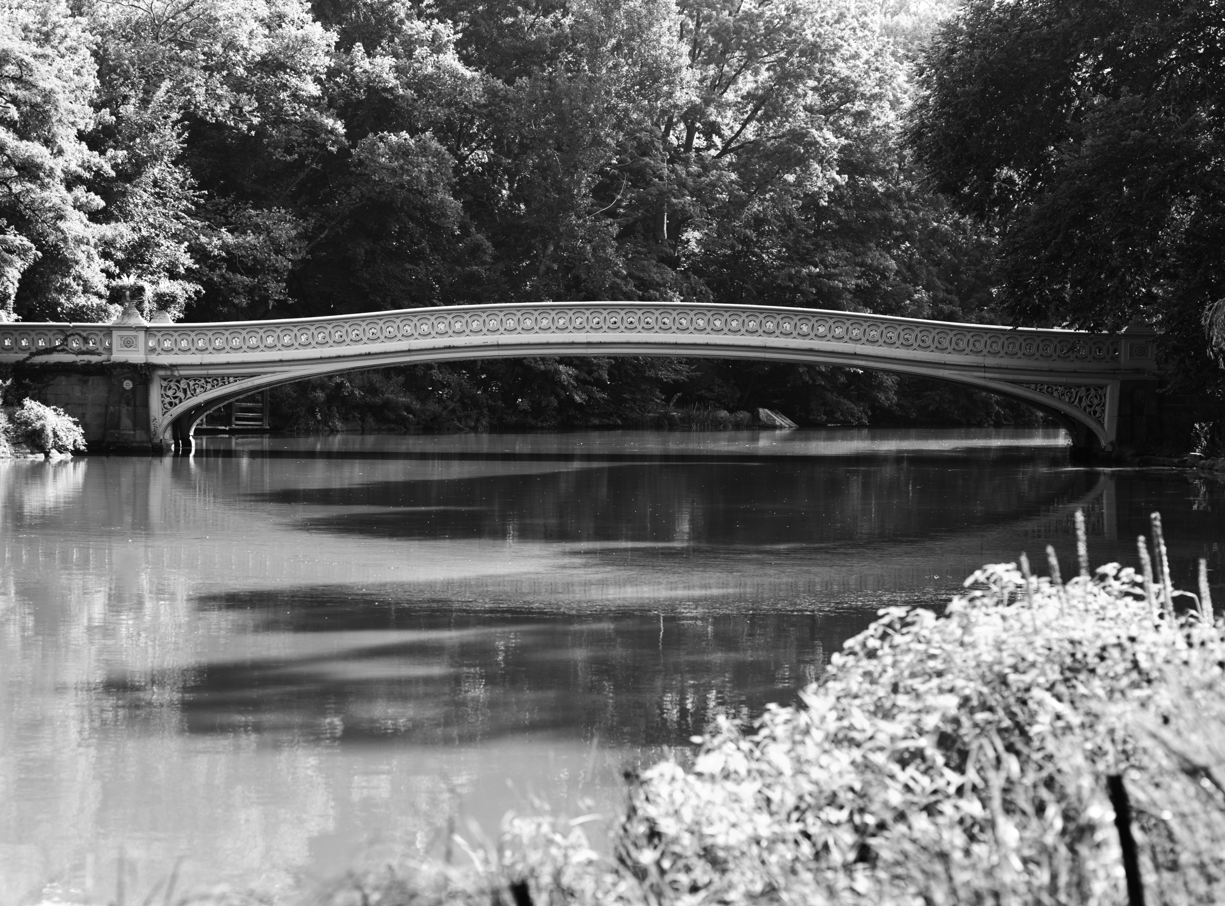 Central Park 2.jpg