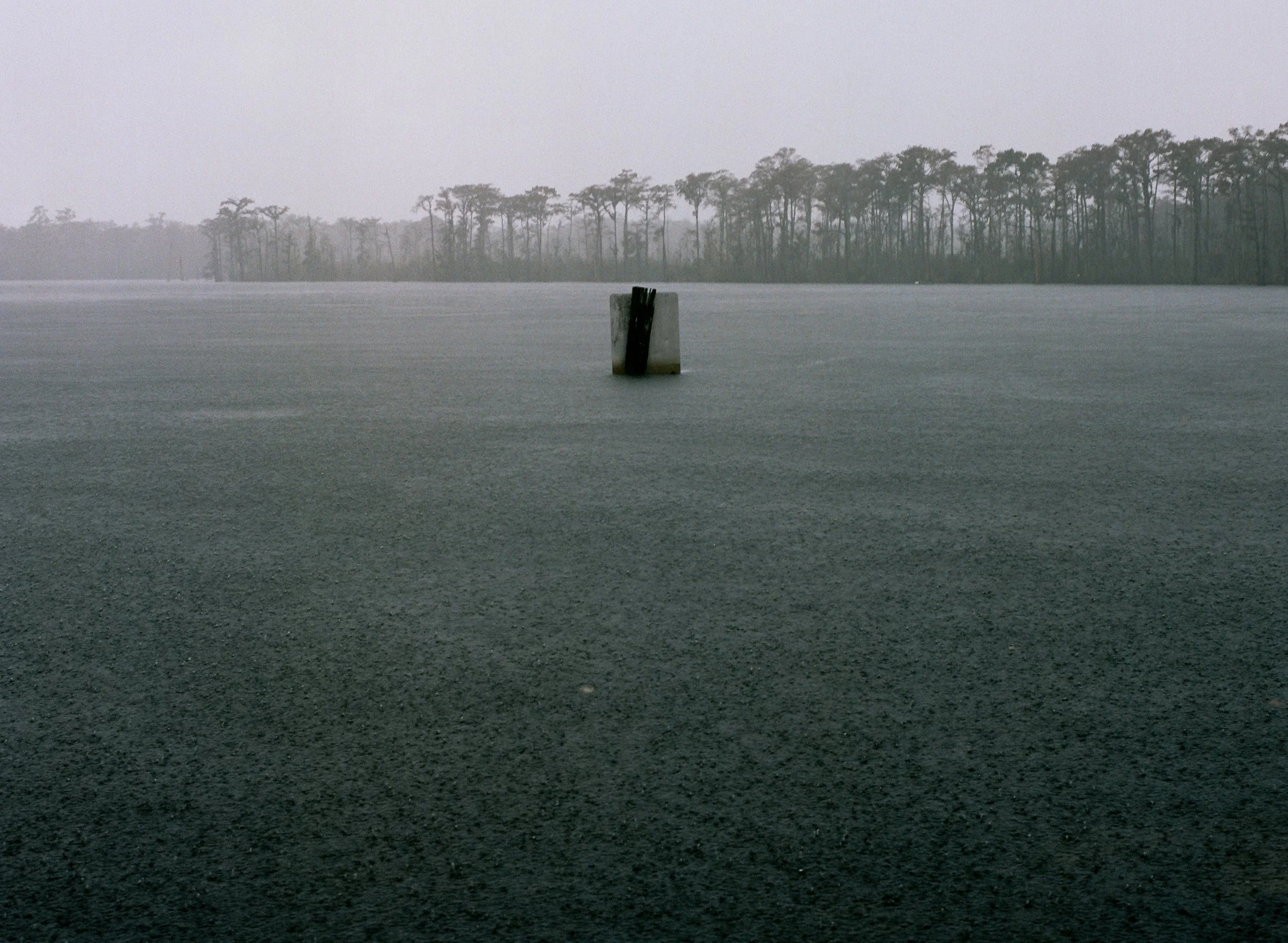 wixproj (65 of 74).jpg