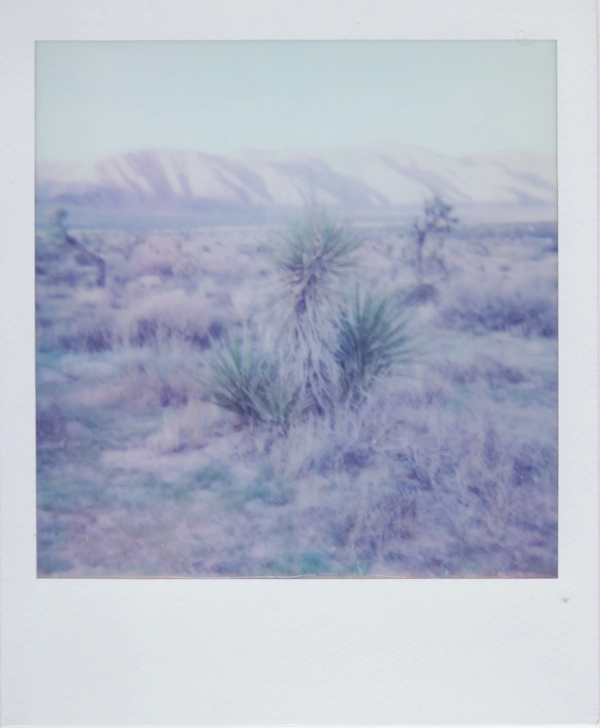 Polaroids-15.jpg