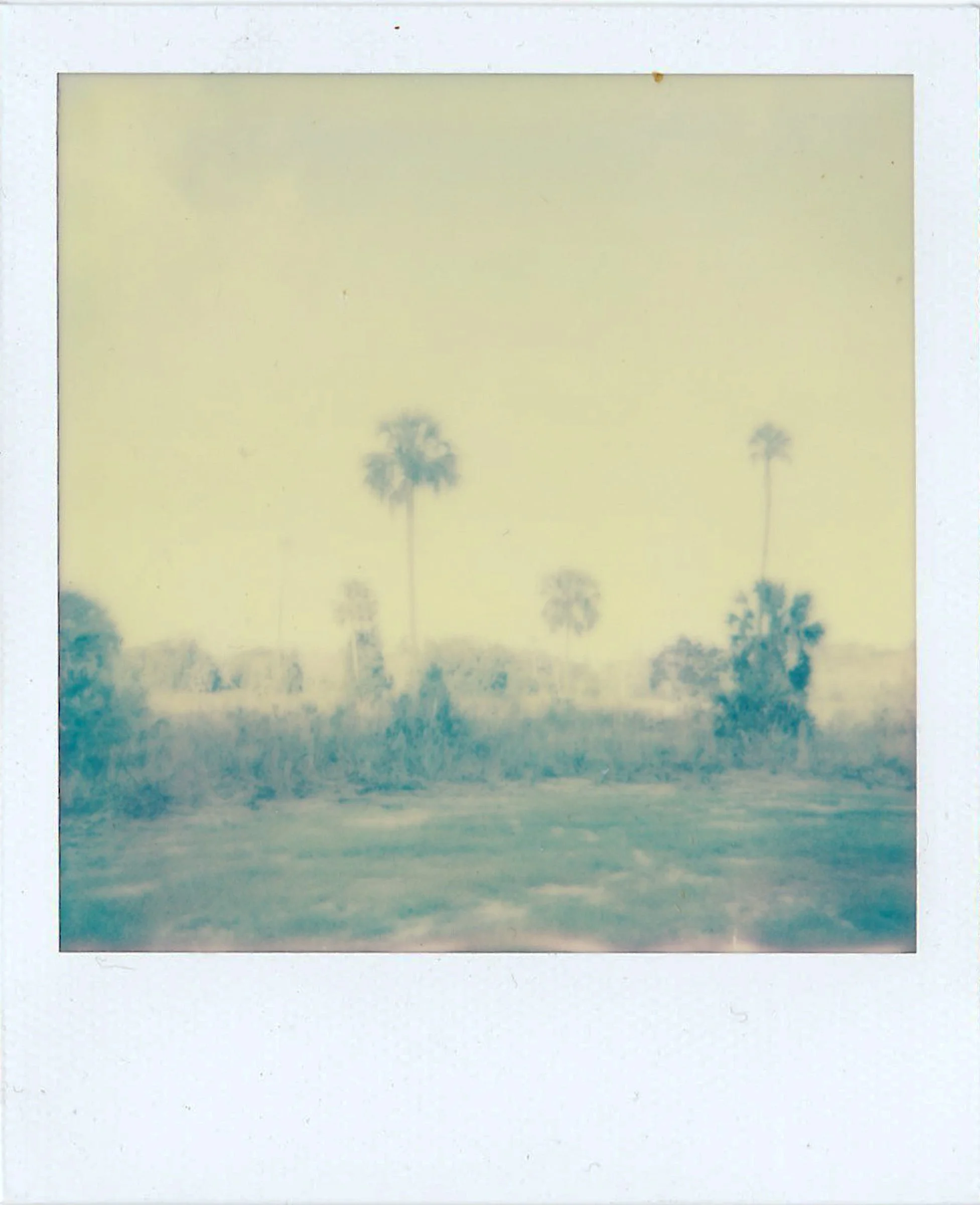 Polaroids-8.jpg