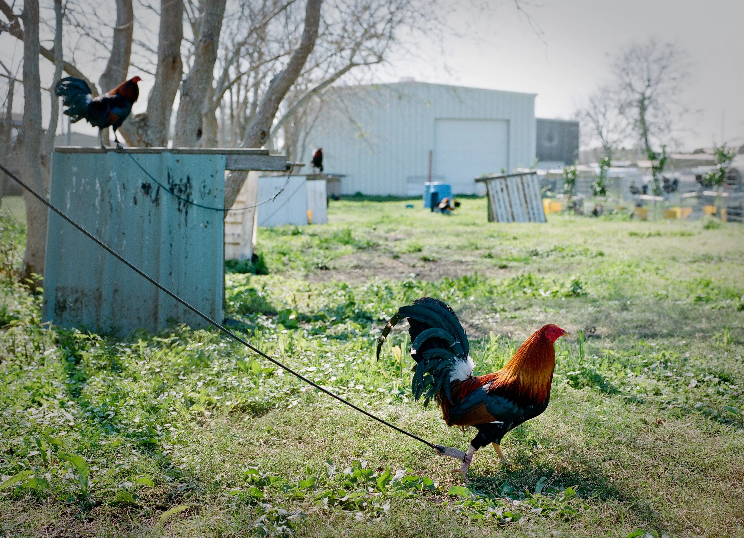 wixproj (4 of 74).jpg