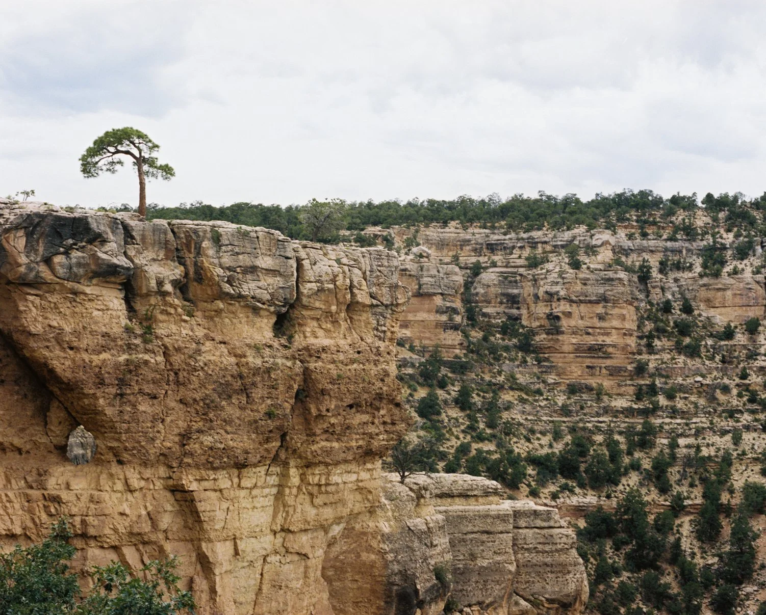 wixproj (17 of 74).jpg