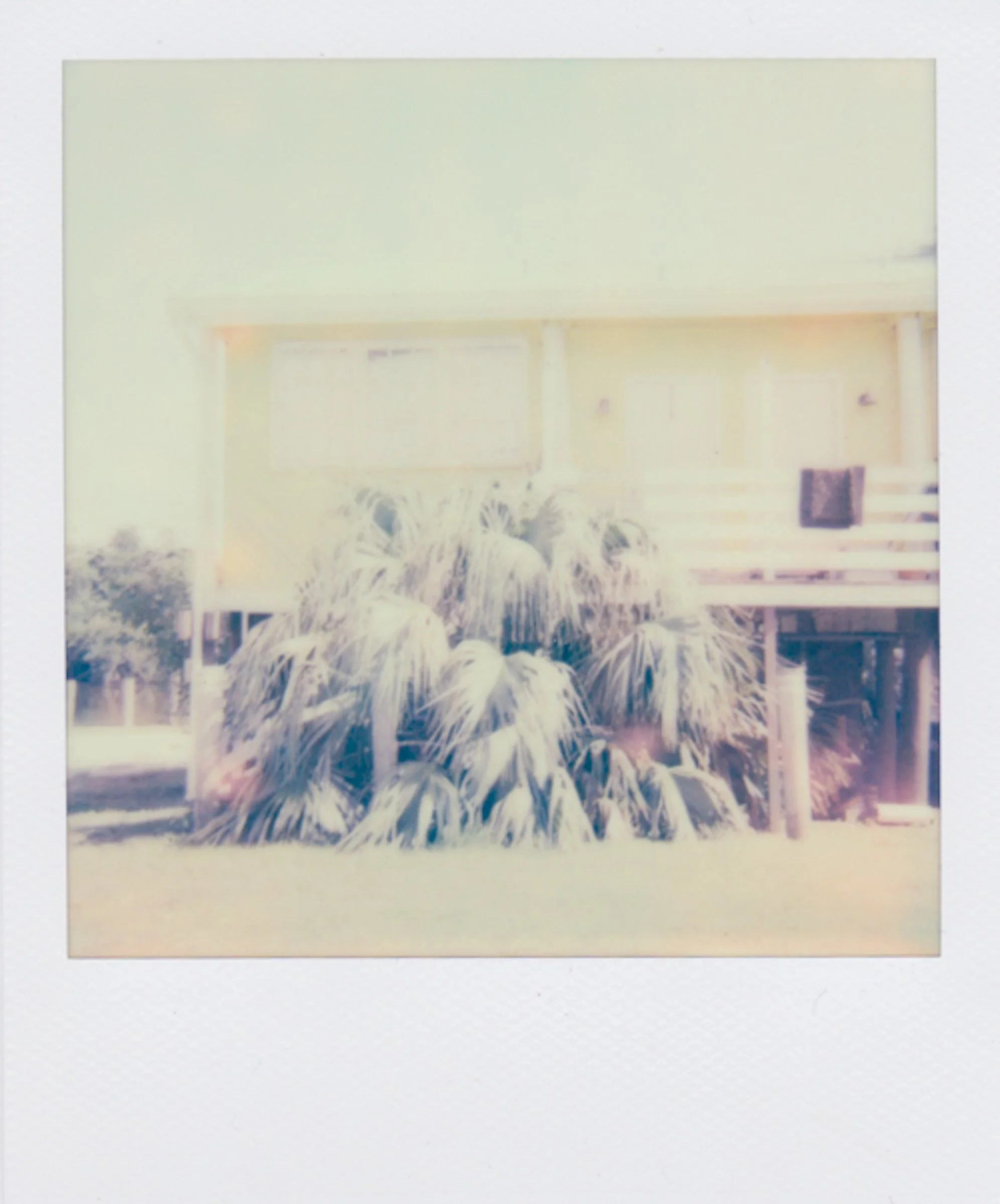 Polaroids-24.jpg