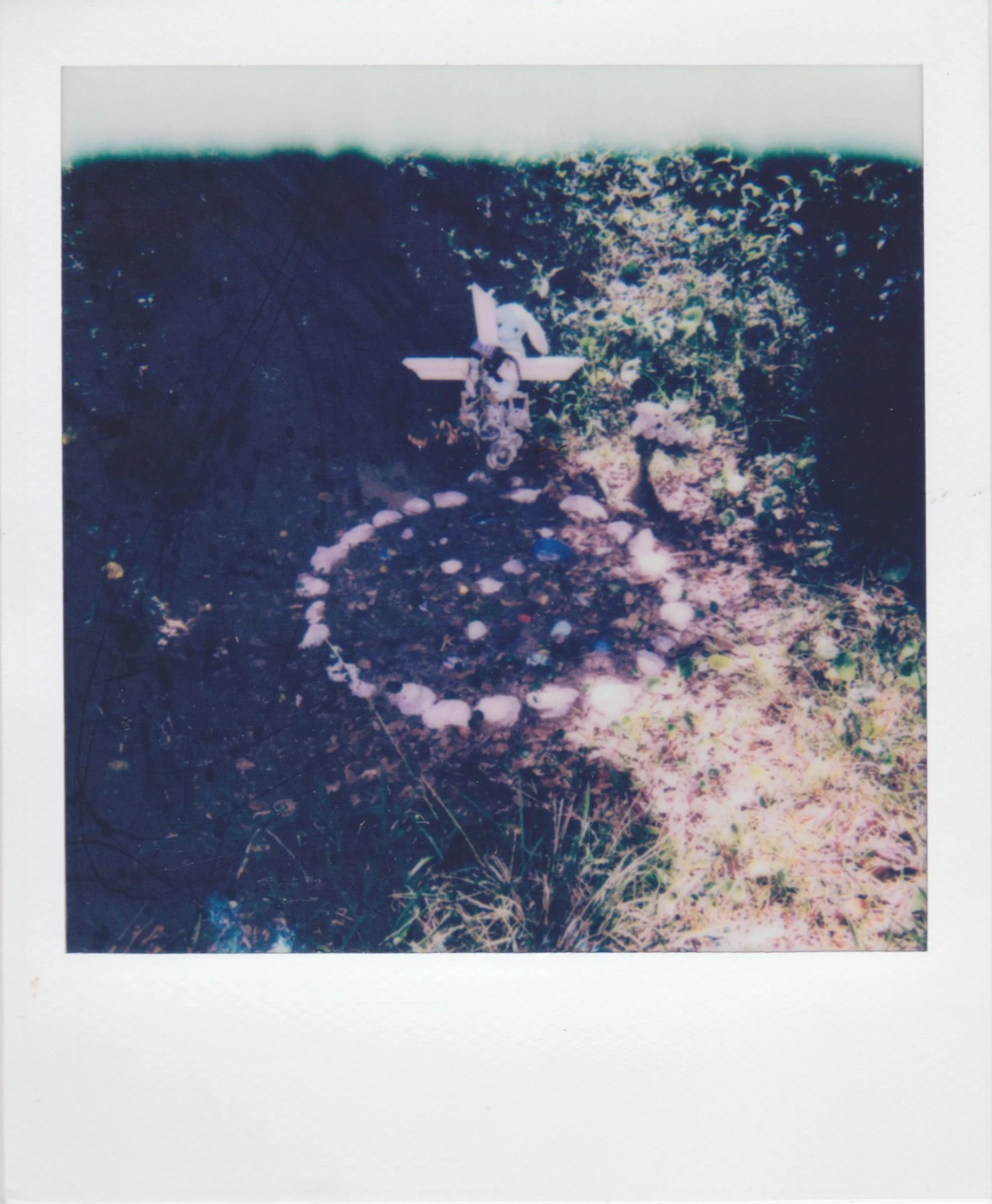 RememberMePolaroids-12.jpg