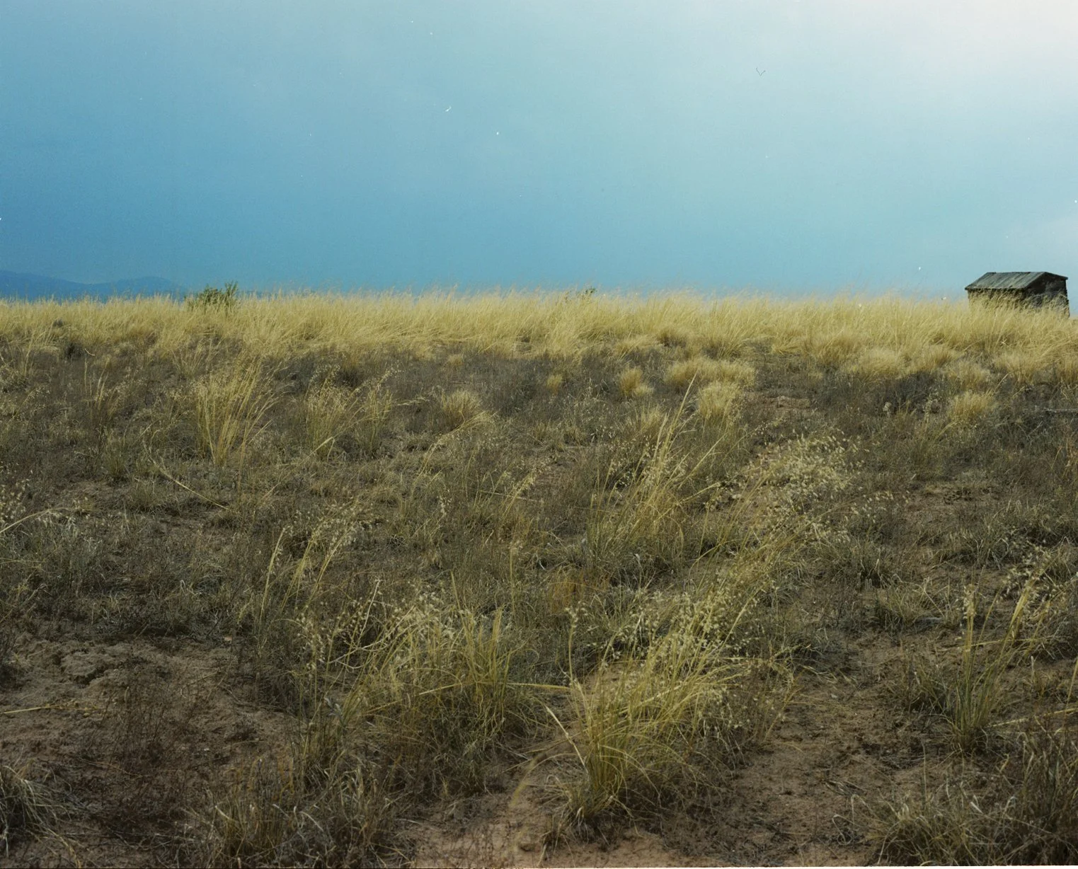 wixproj (19 of 74).jpg