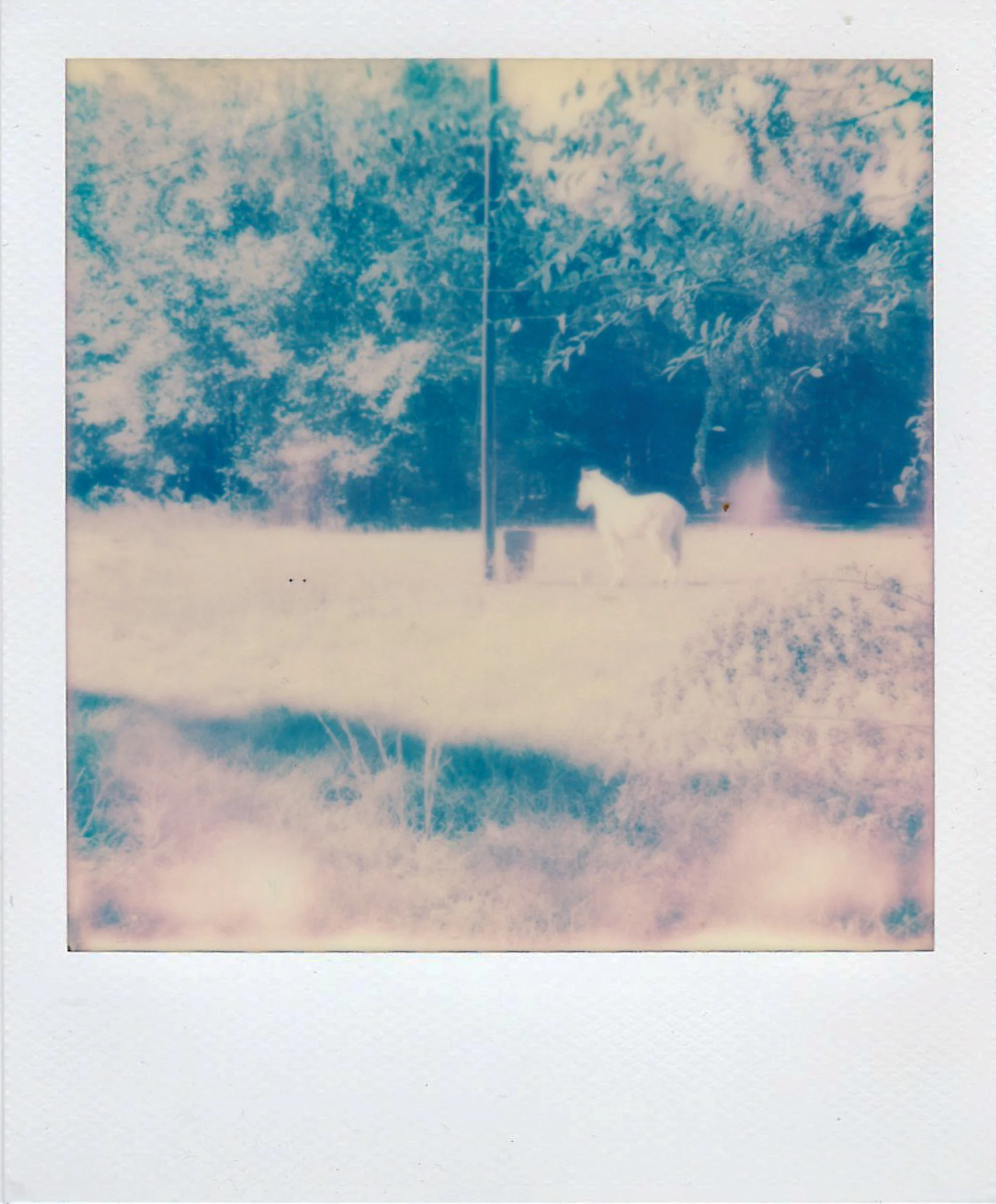 Polaroids-12.jpg