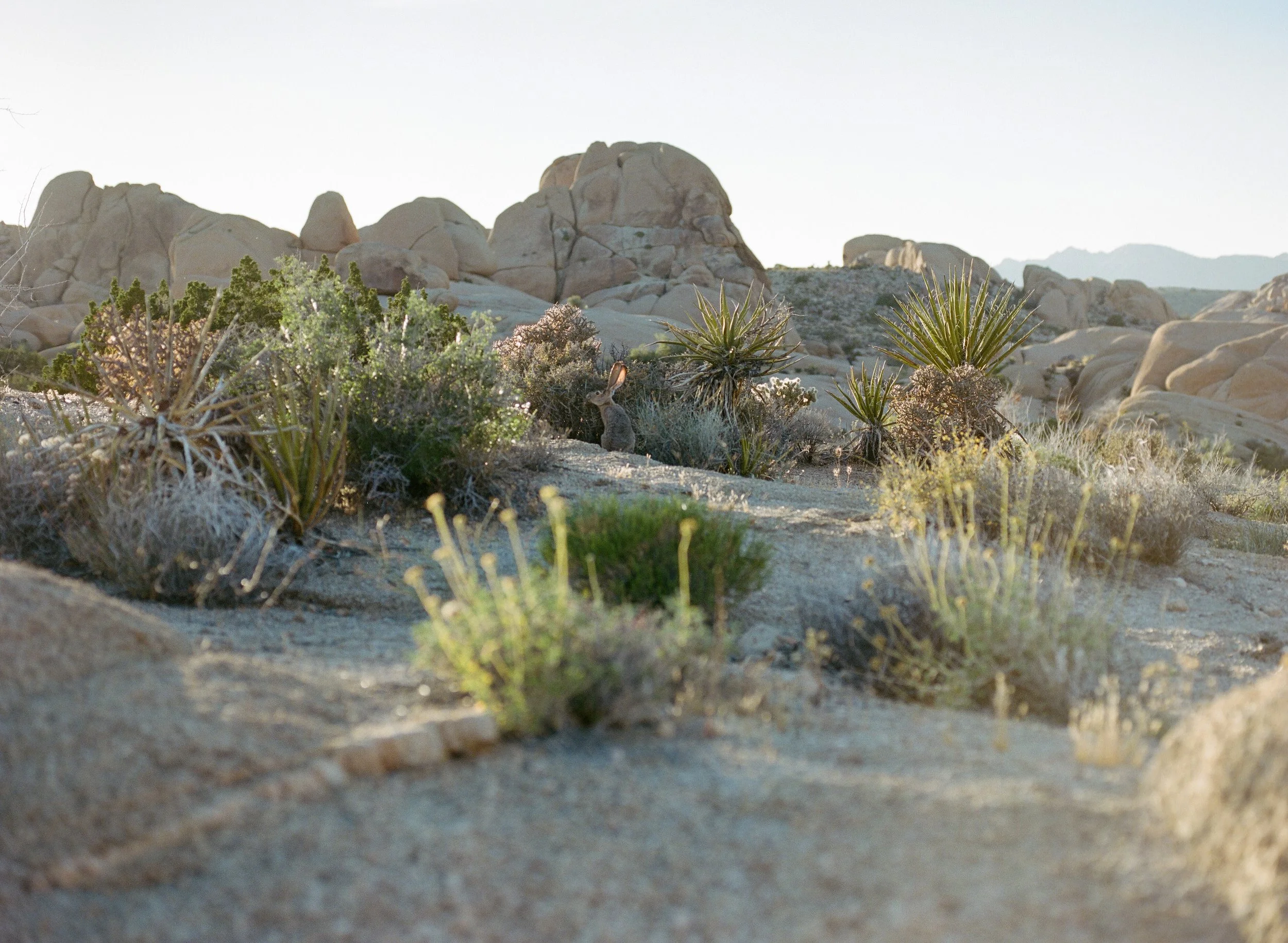 wixproj (48 of 74).jpg