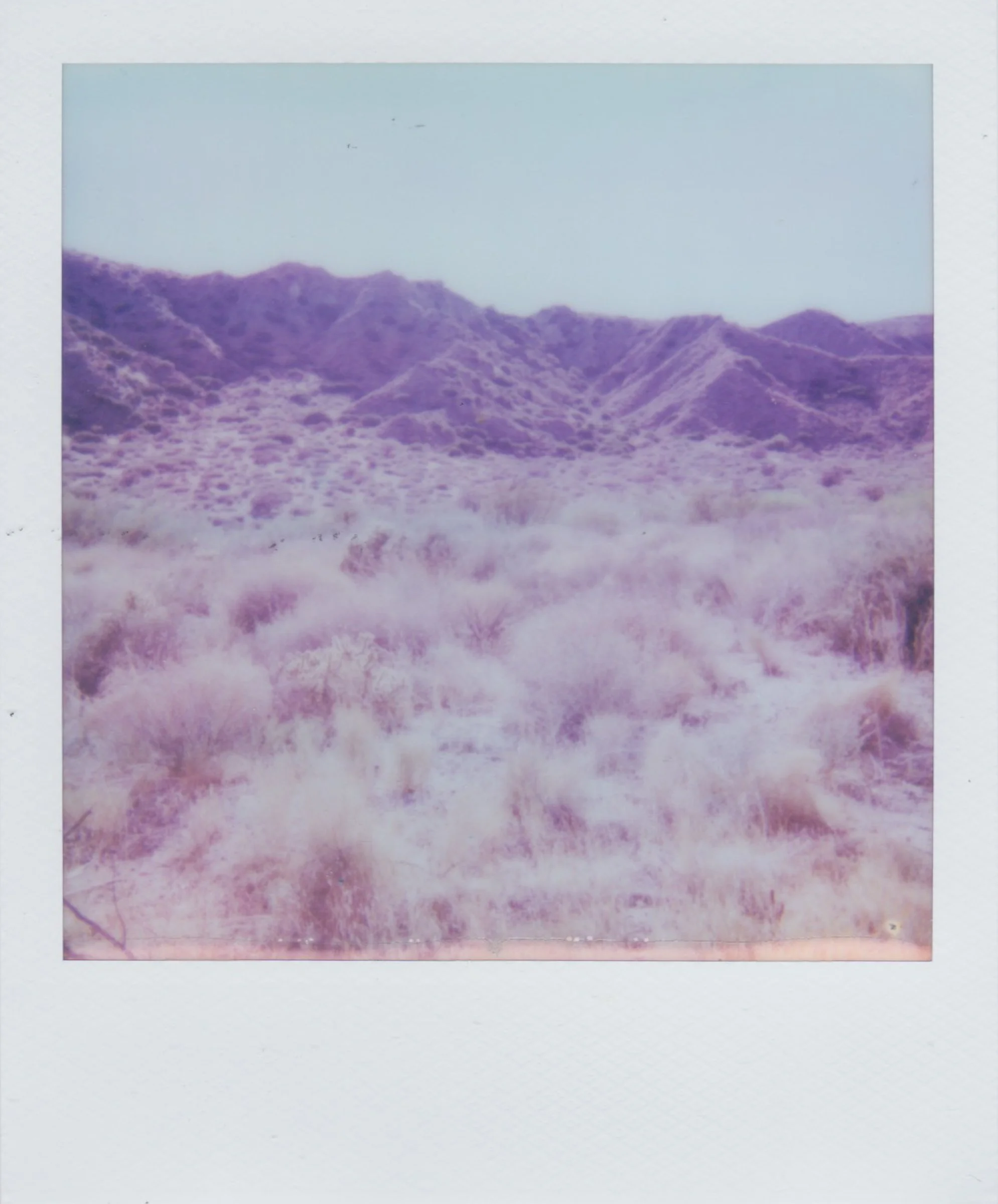 Polaroids-13.jpg