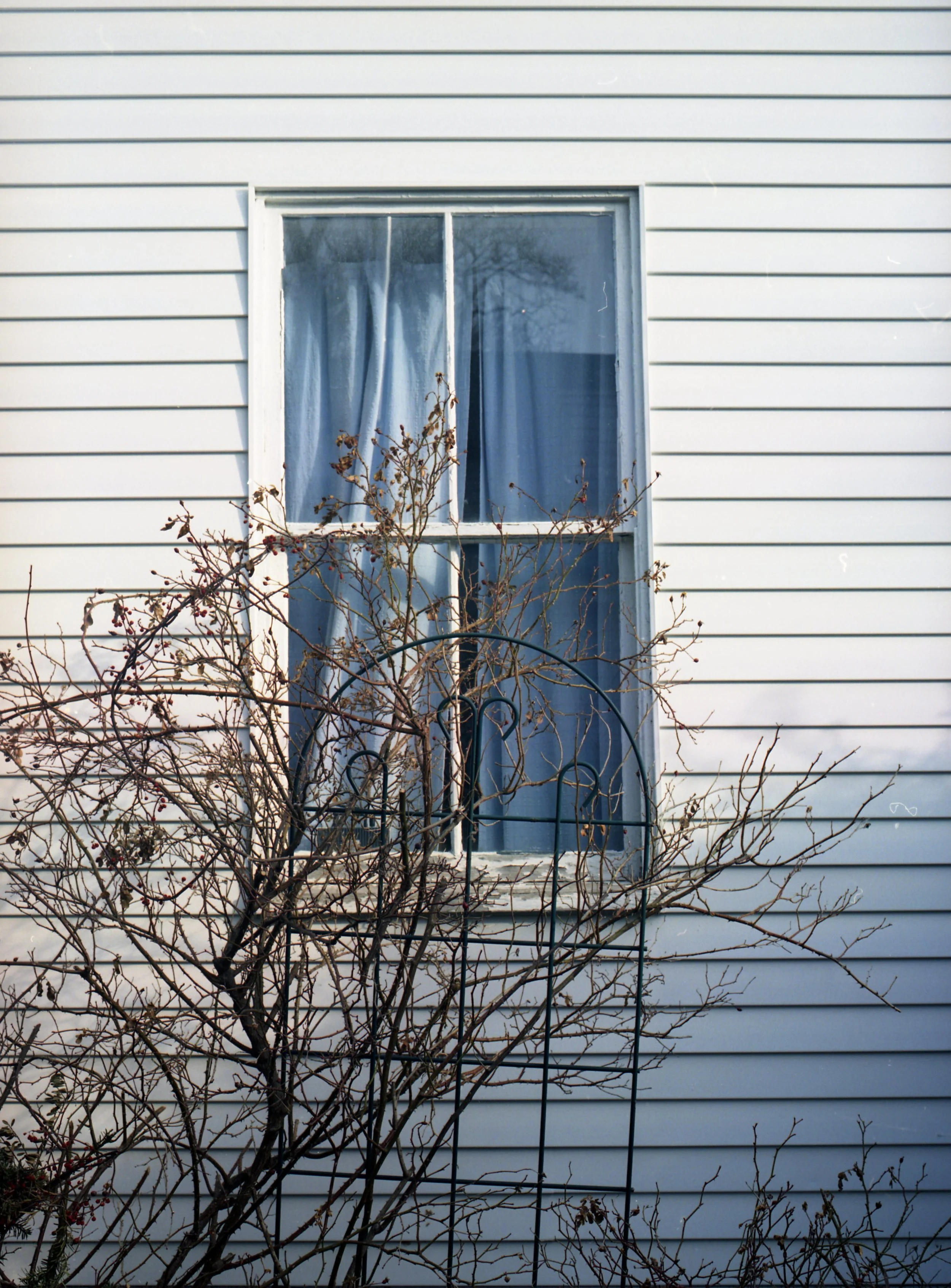 wixproj (53 of 74).jpg