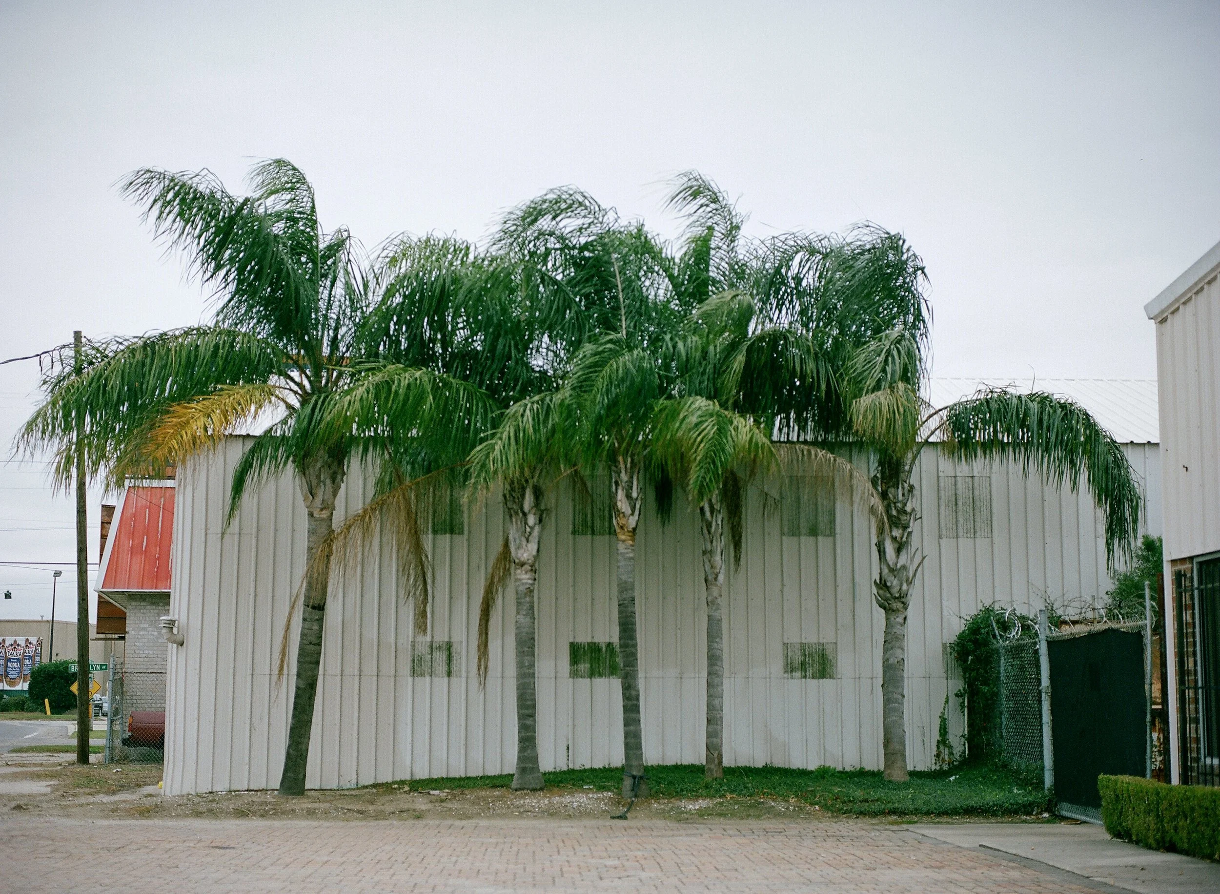 wixproj (21 of 74).jpg