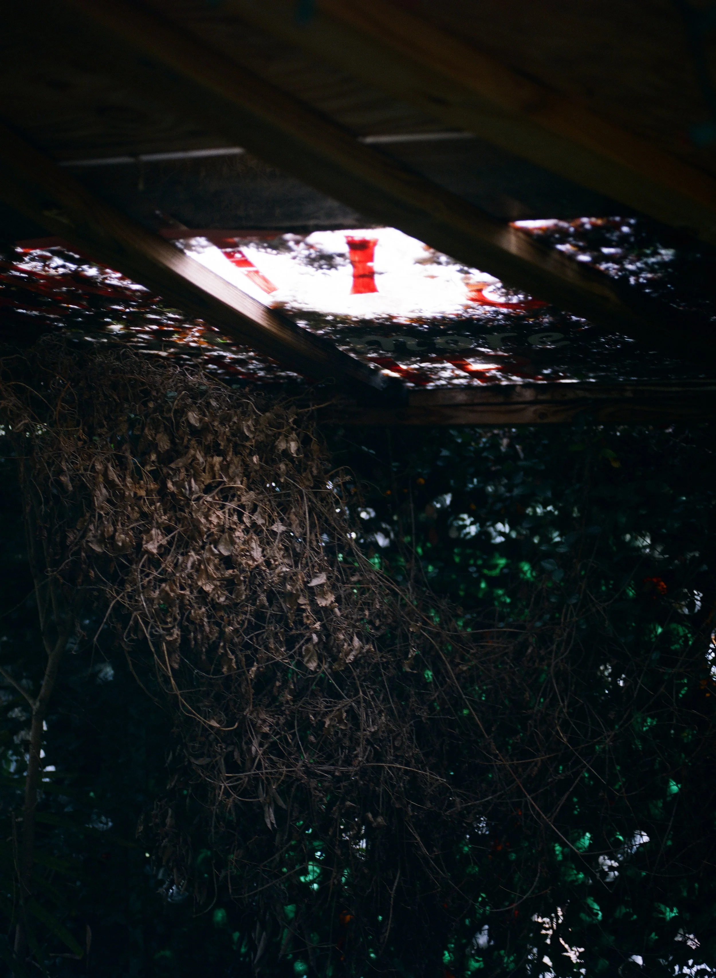 wixproj (66 of 74).jpg