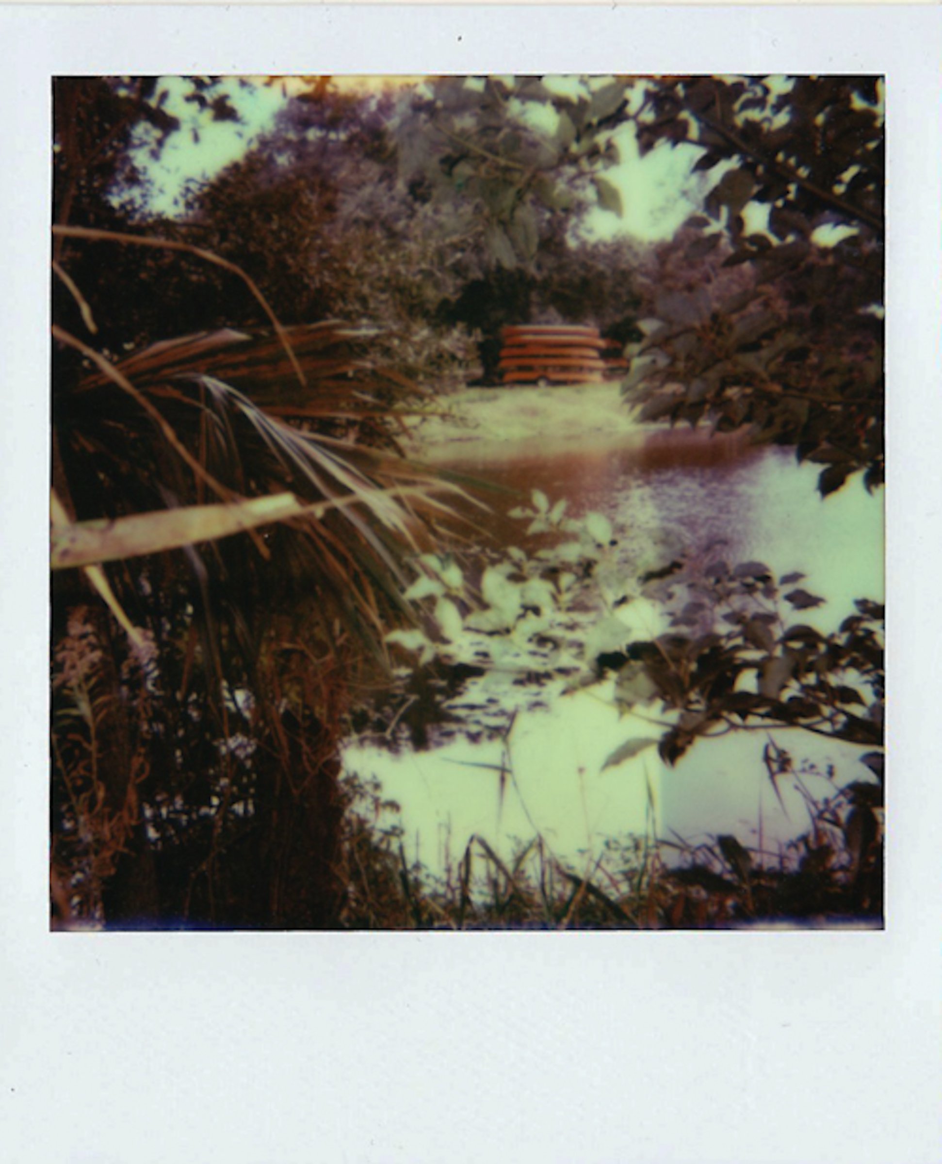 Polaroids-20.jpg