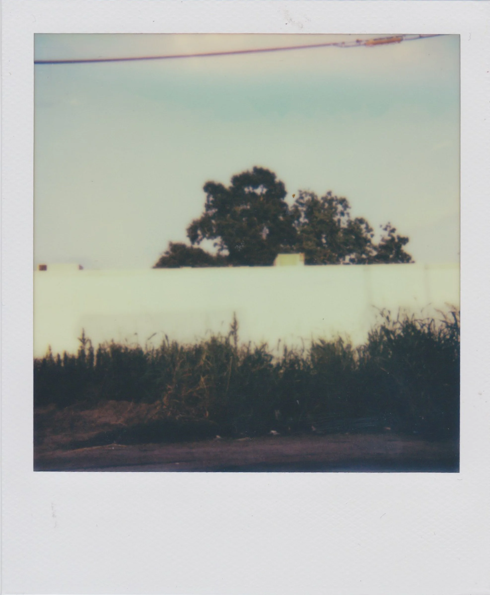 Polaroids-33.jpg