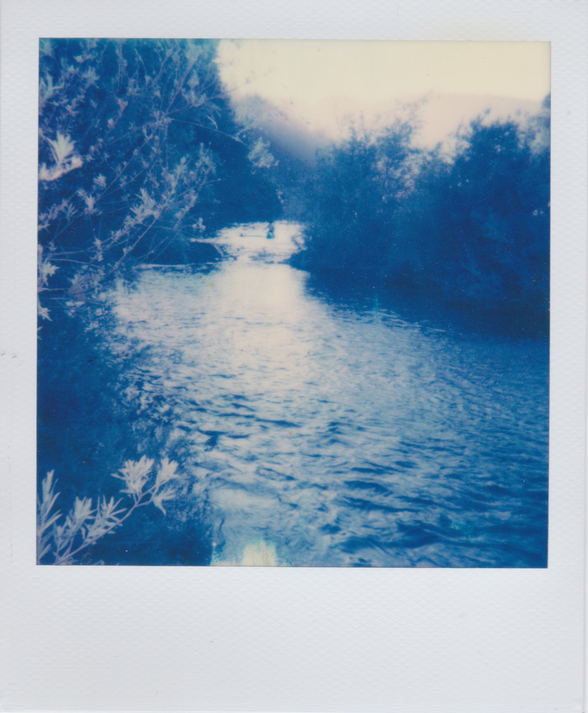 Polaroids-2.jpg