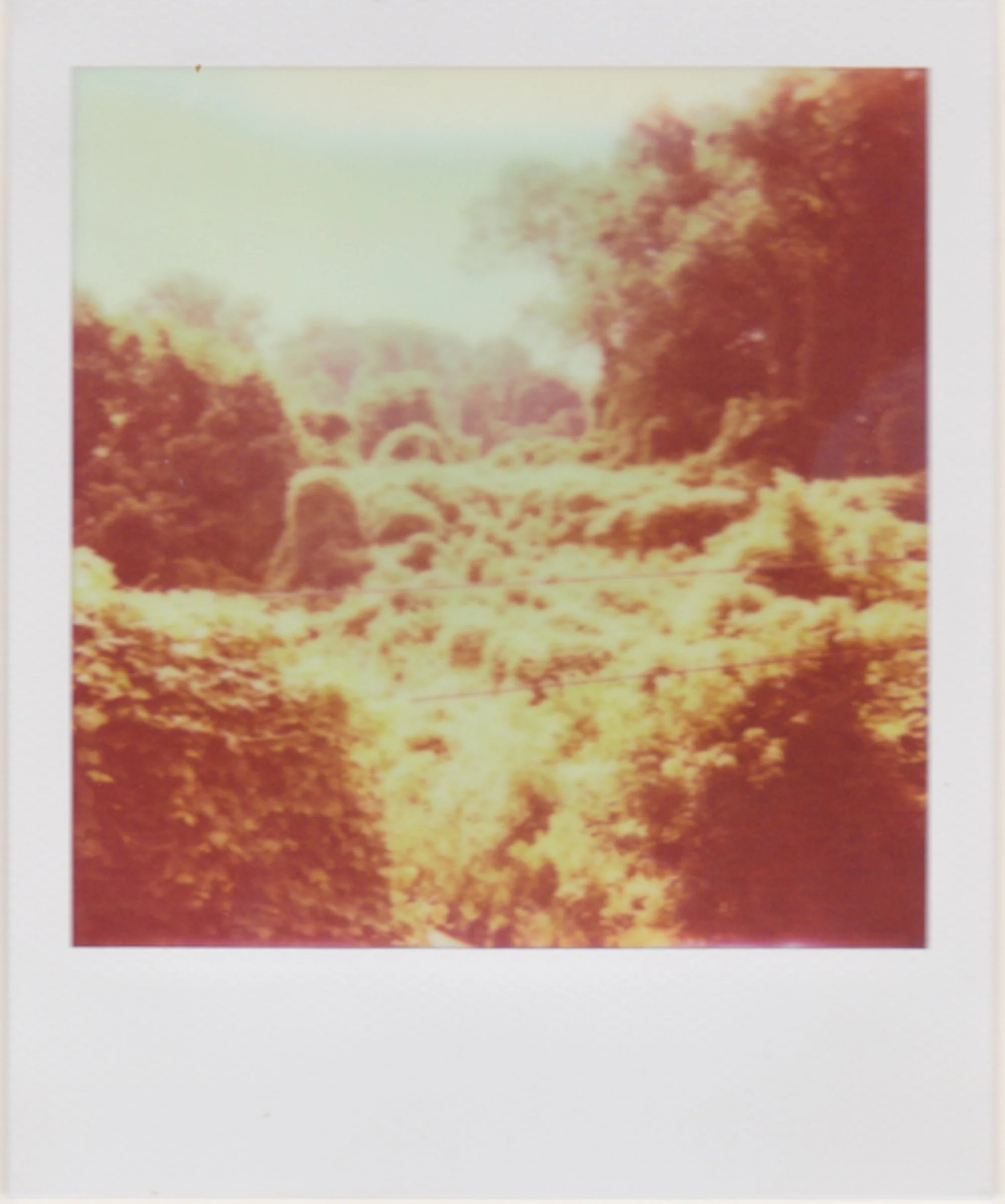Polaroids-25.jpg