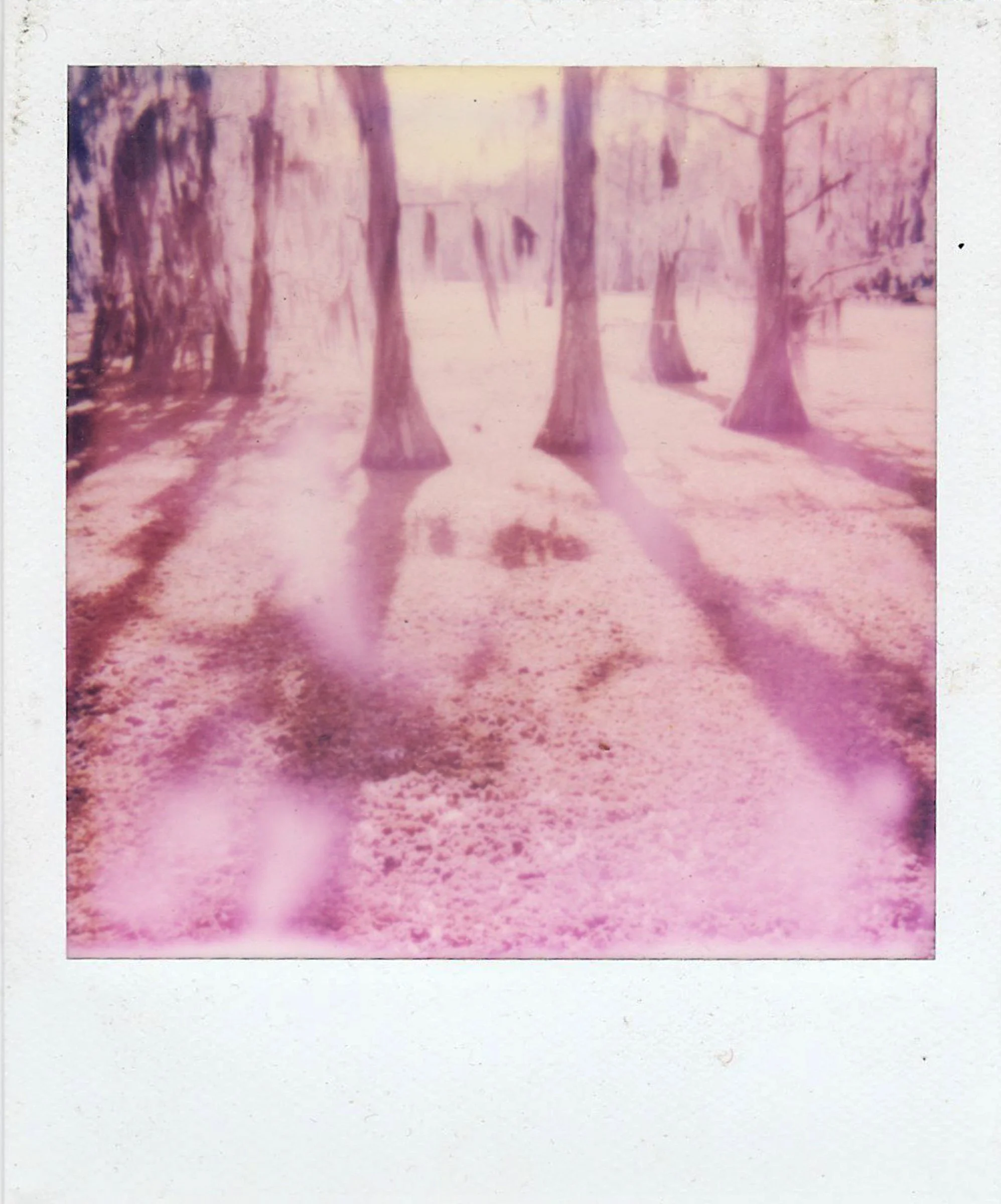 Polaroids-5.jpg
