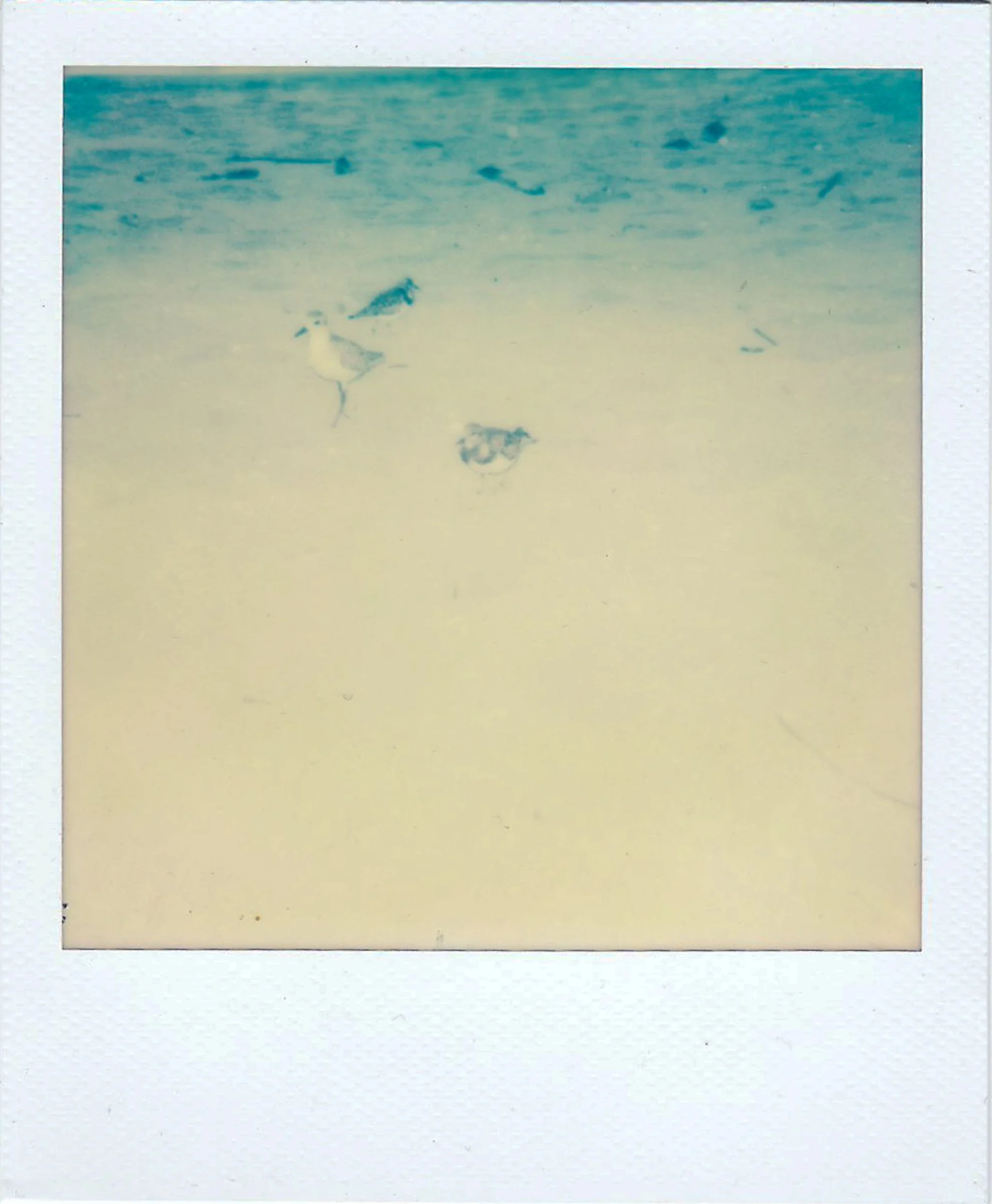 Polaroids-6.jpg