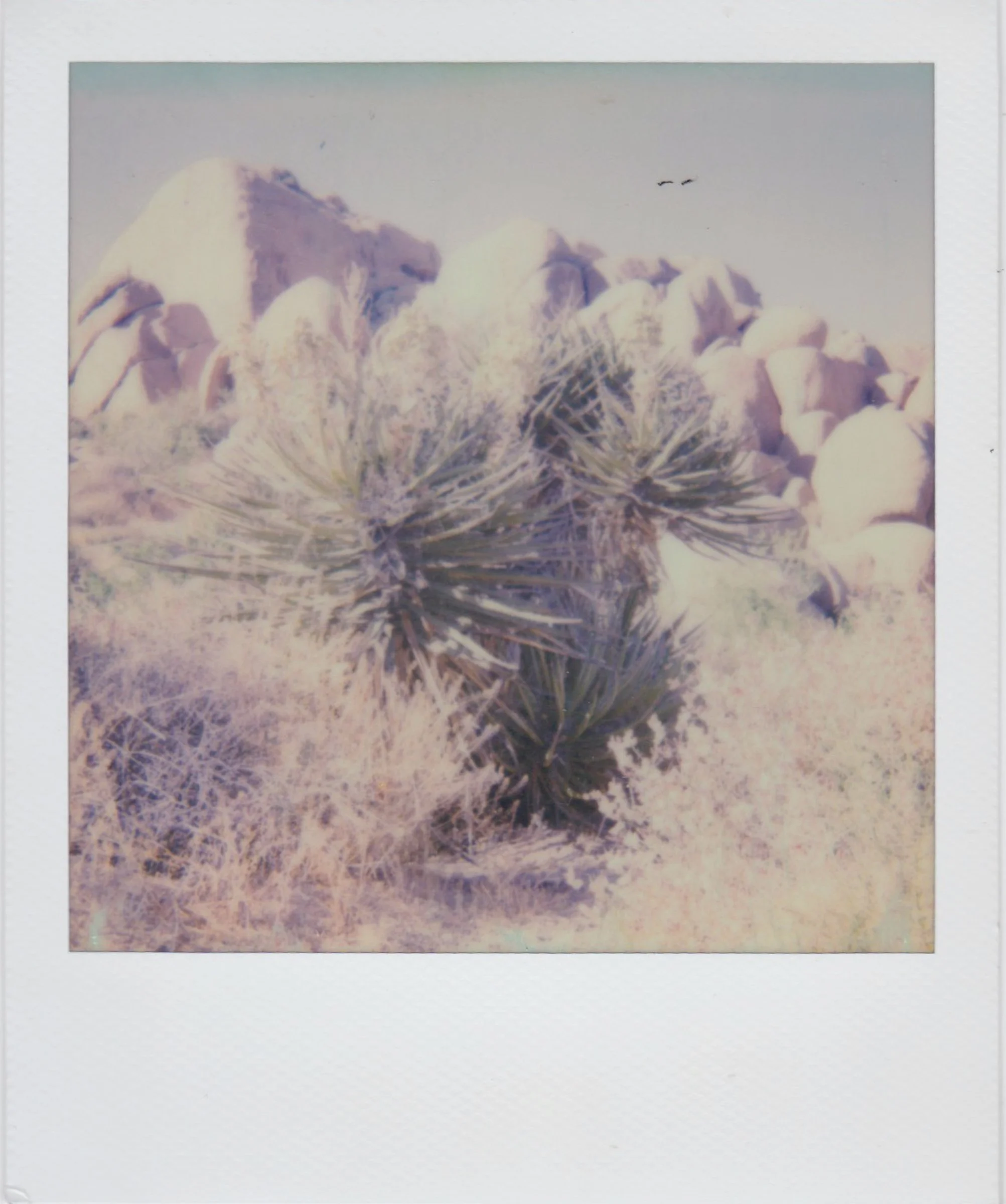 Polaroids-11.jpg
