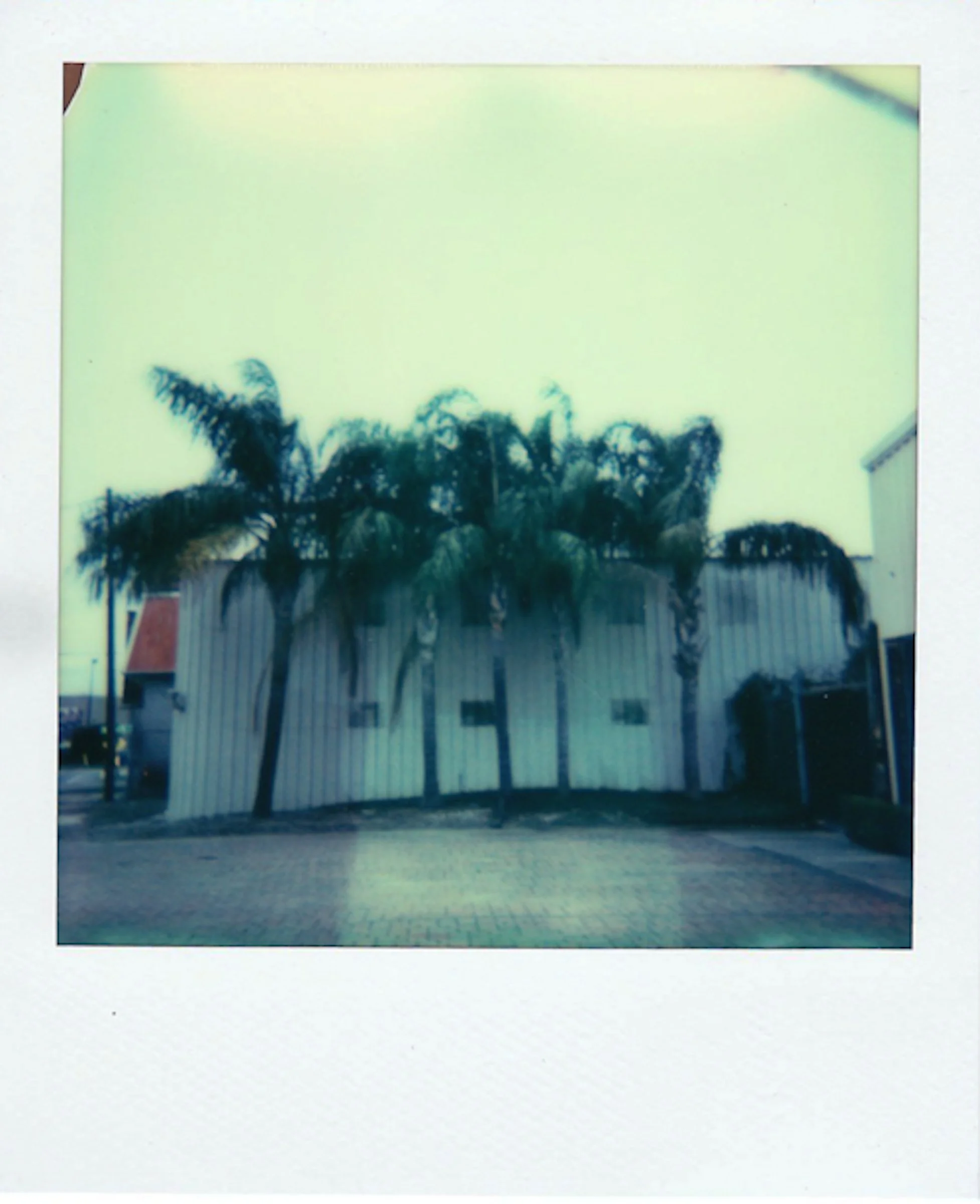 Polaroids-18.jpg