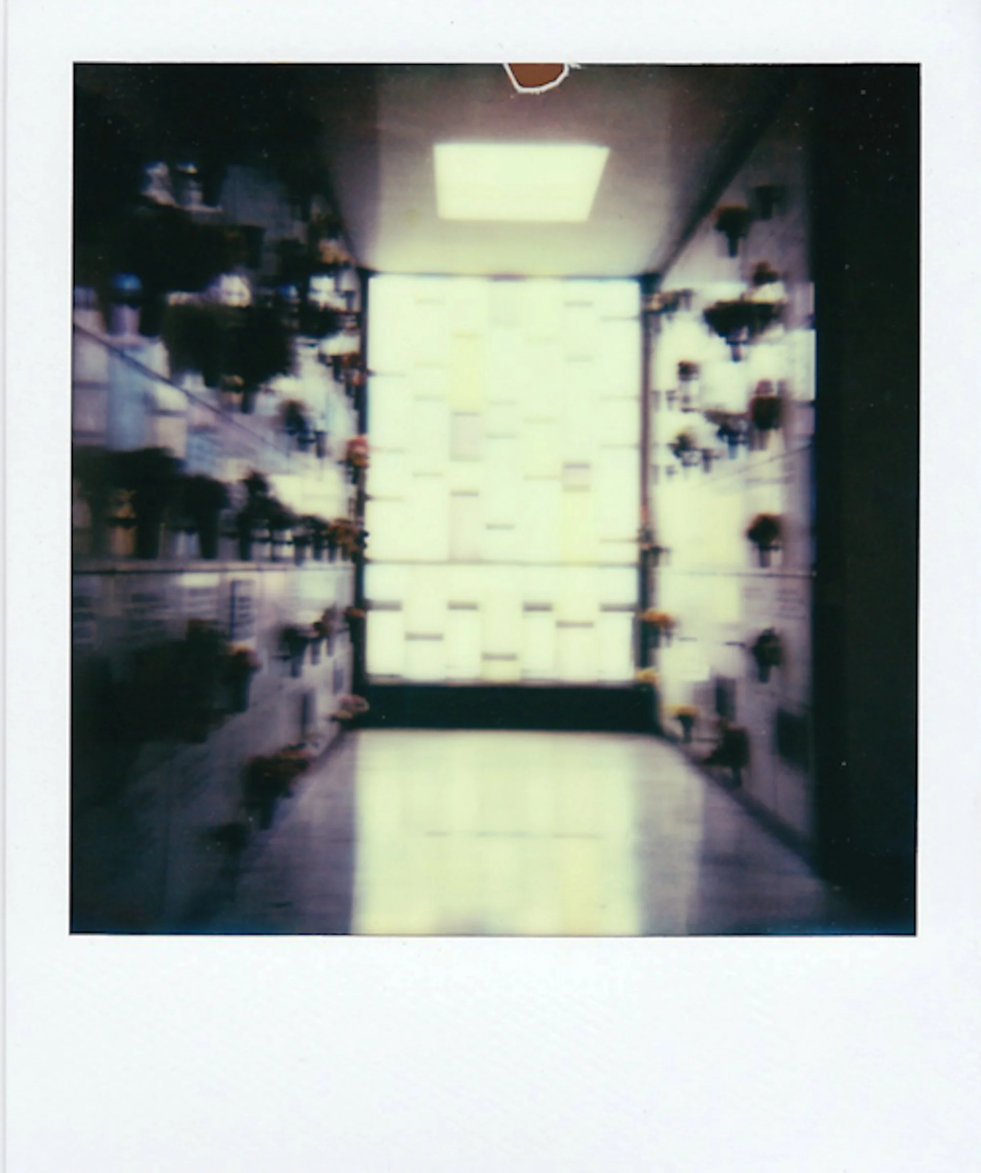 Polaroids-22.jpg