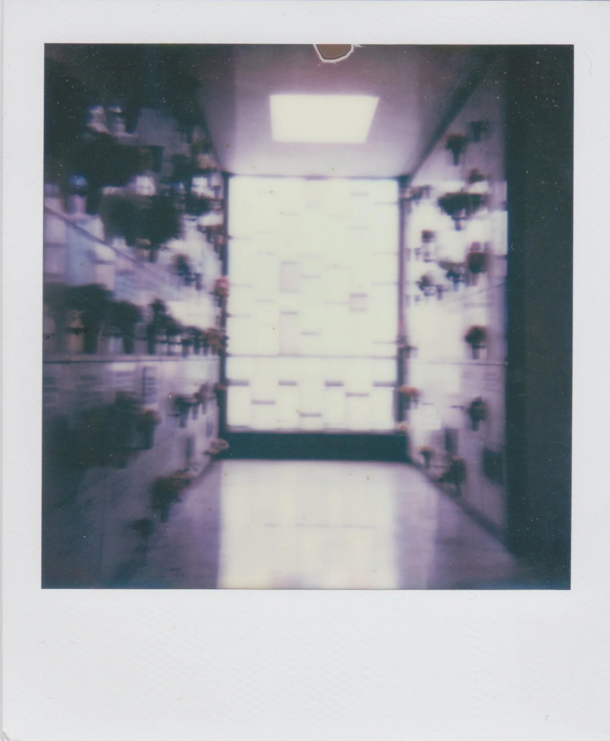 RememberMePolaroids-10.jpg