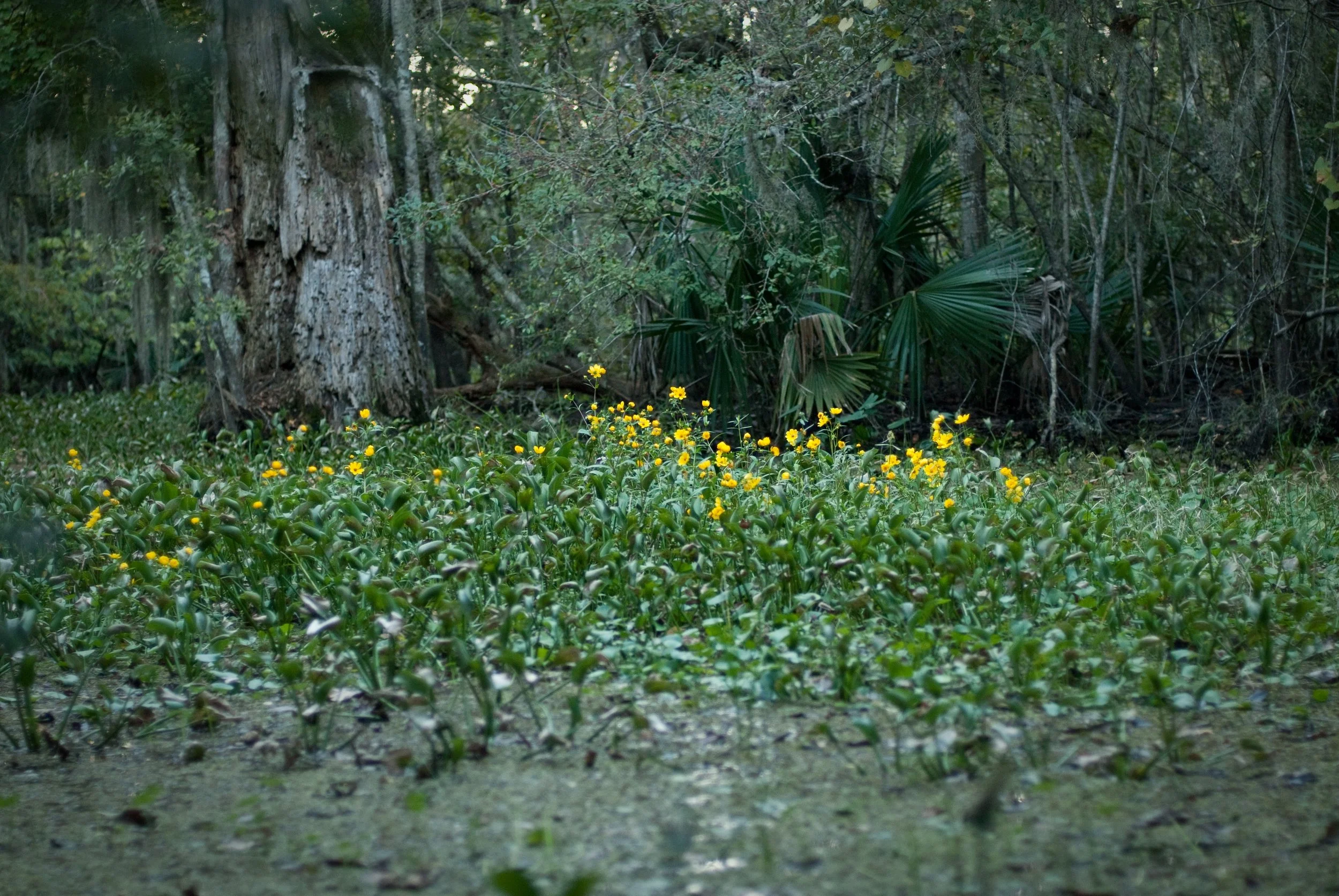 wixproj (27 of 74).jpg