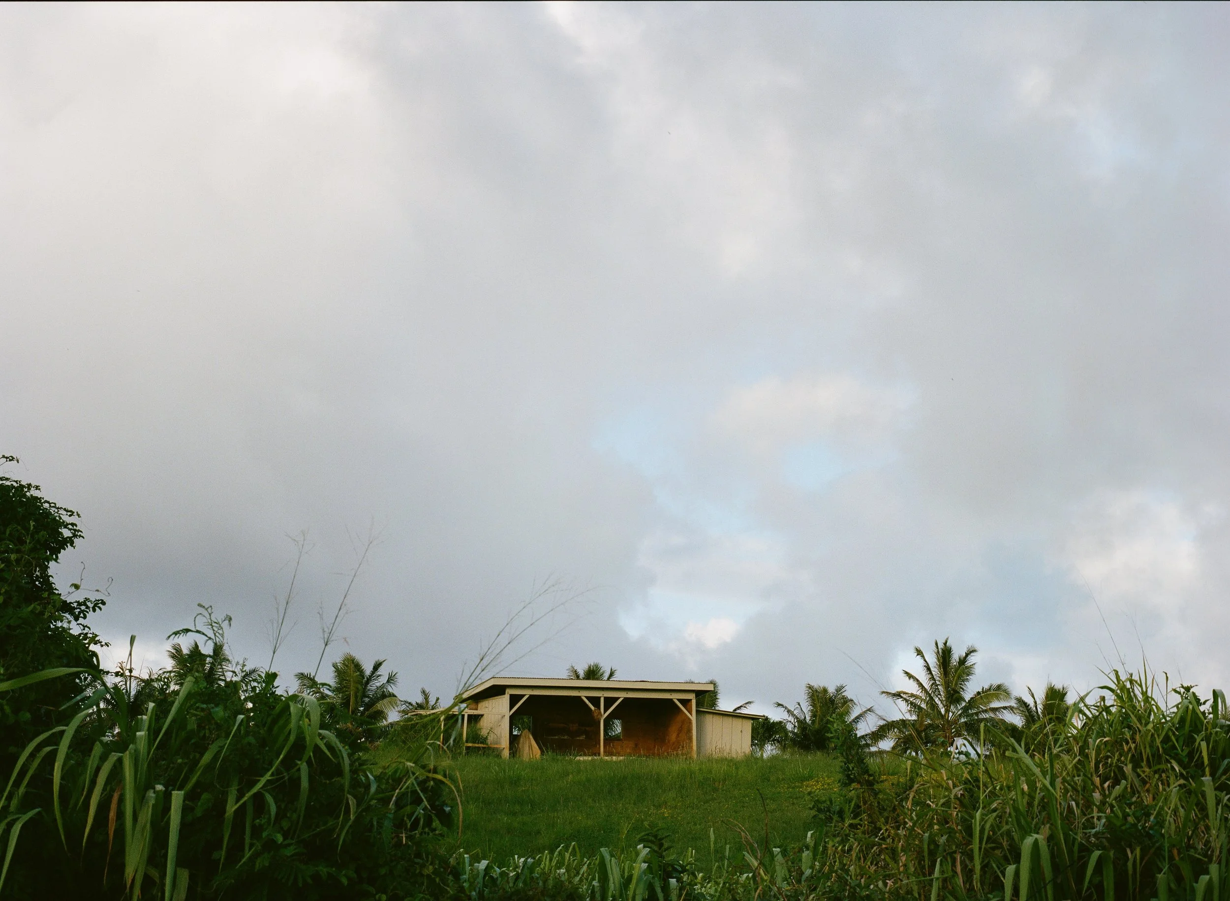 wixproj (25 of 74).jpg