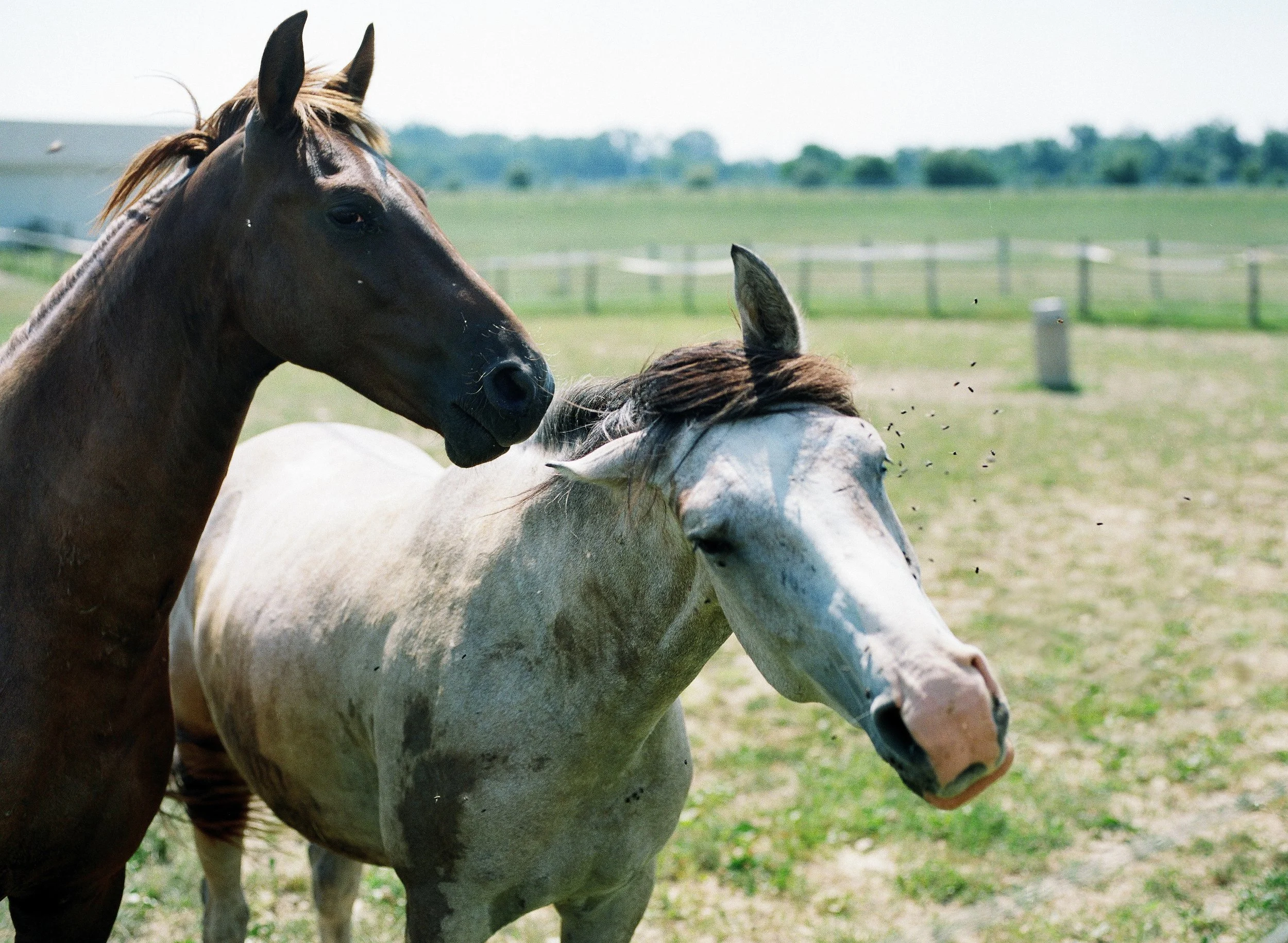 wixproj (22 of 74).jpg