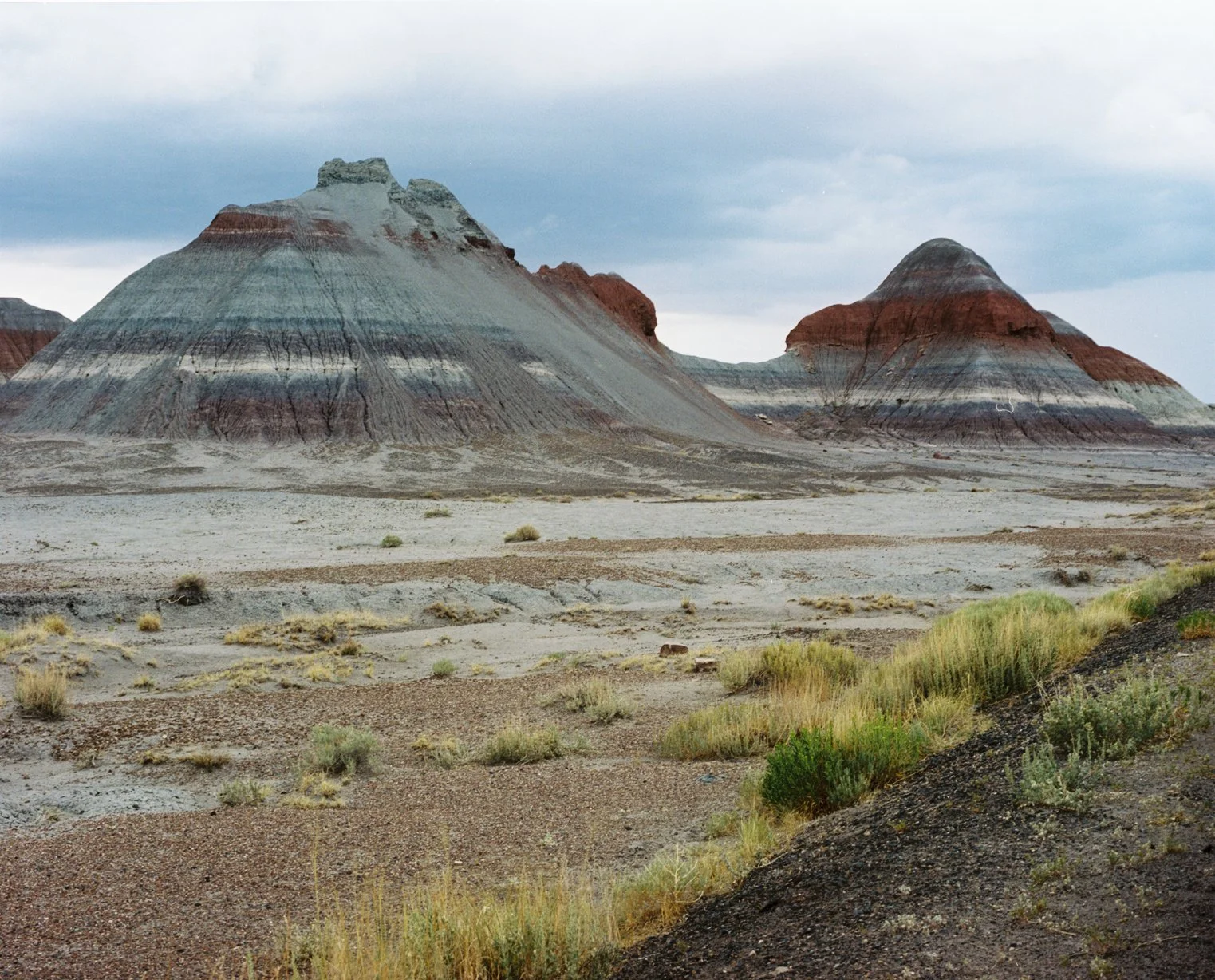 wixproj (70 of 74).jpg