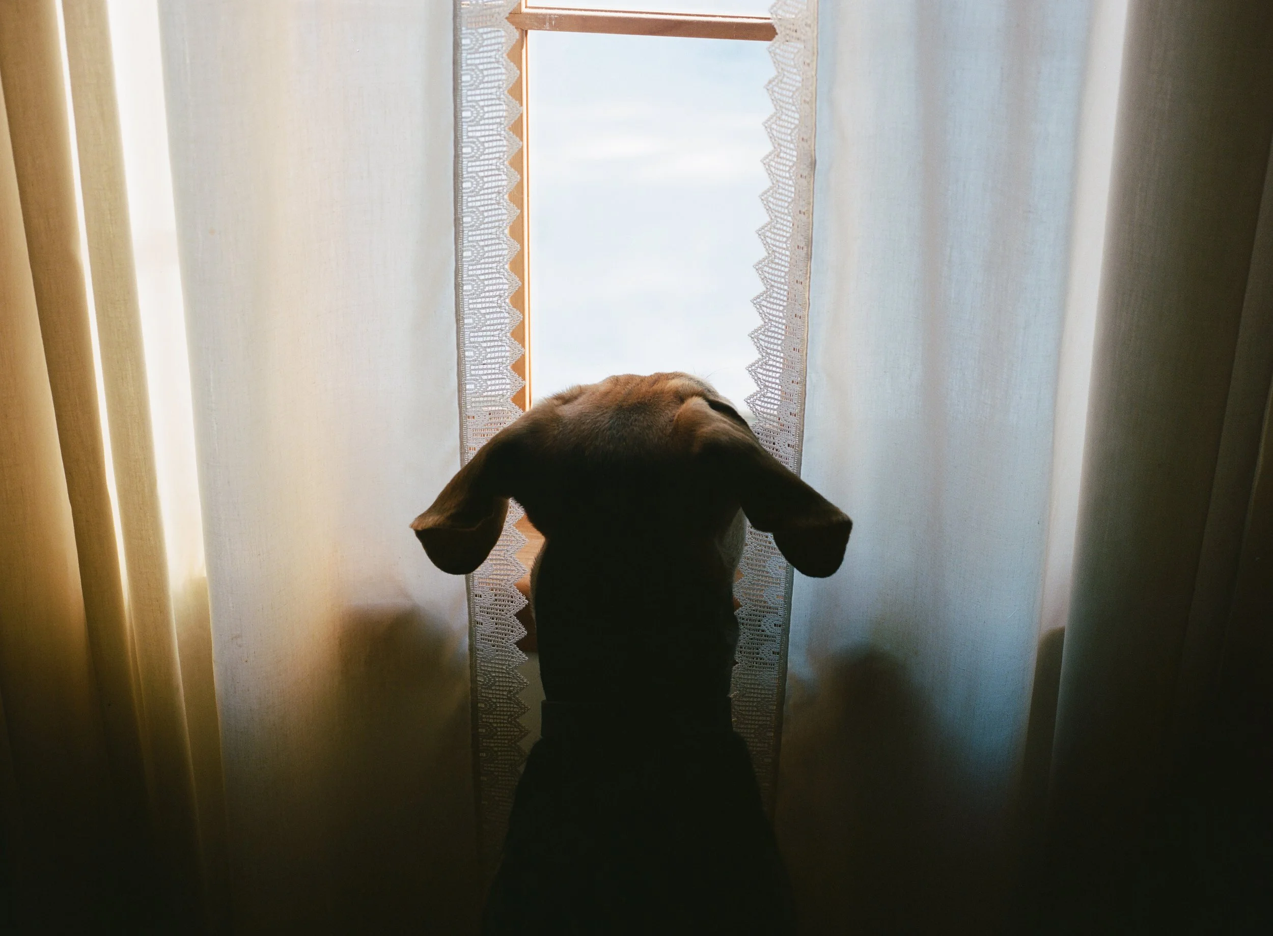 wixproj (60 of 74).jpg