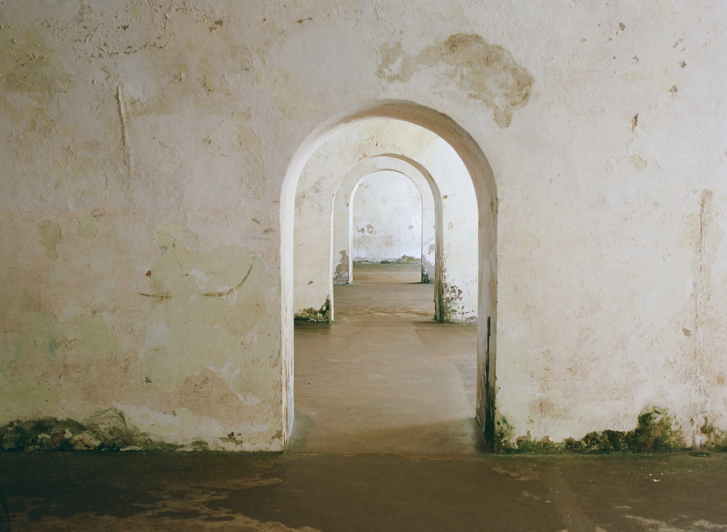 wixproj (59 of 74).jpg