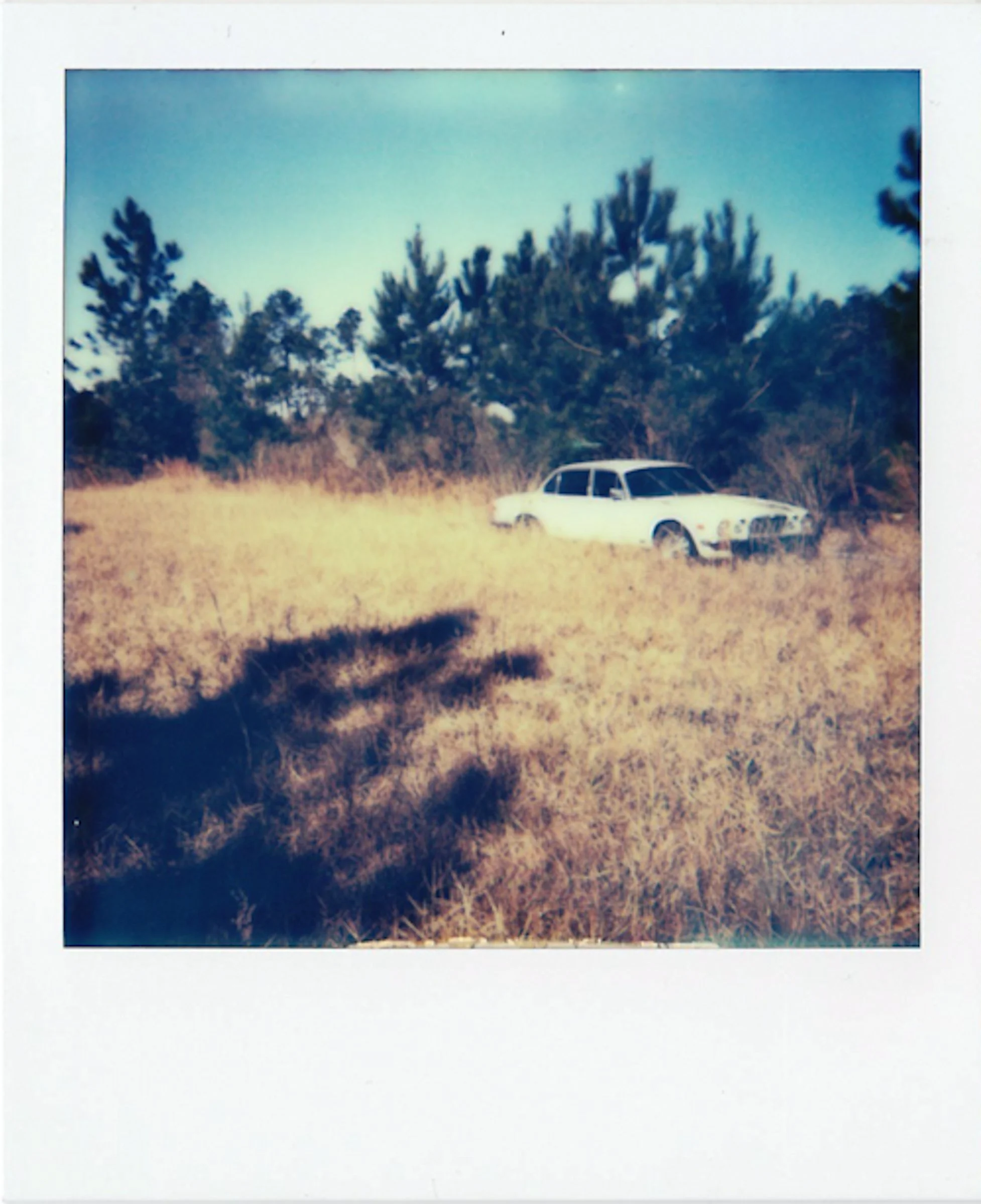 Polaroids-3.jpg