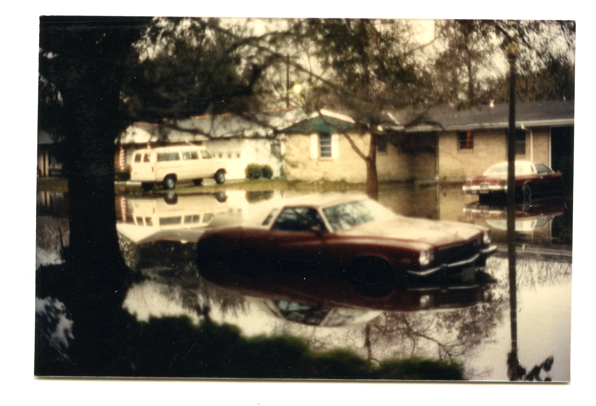 SoutherlyGold-82 copy.jpg