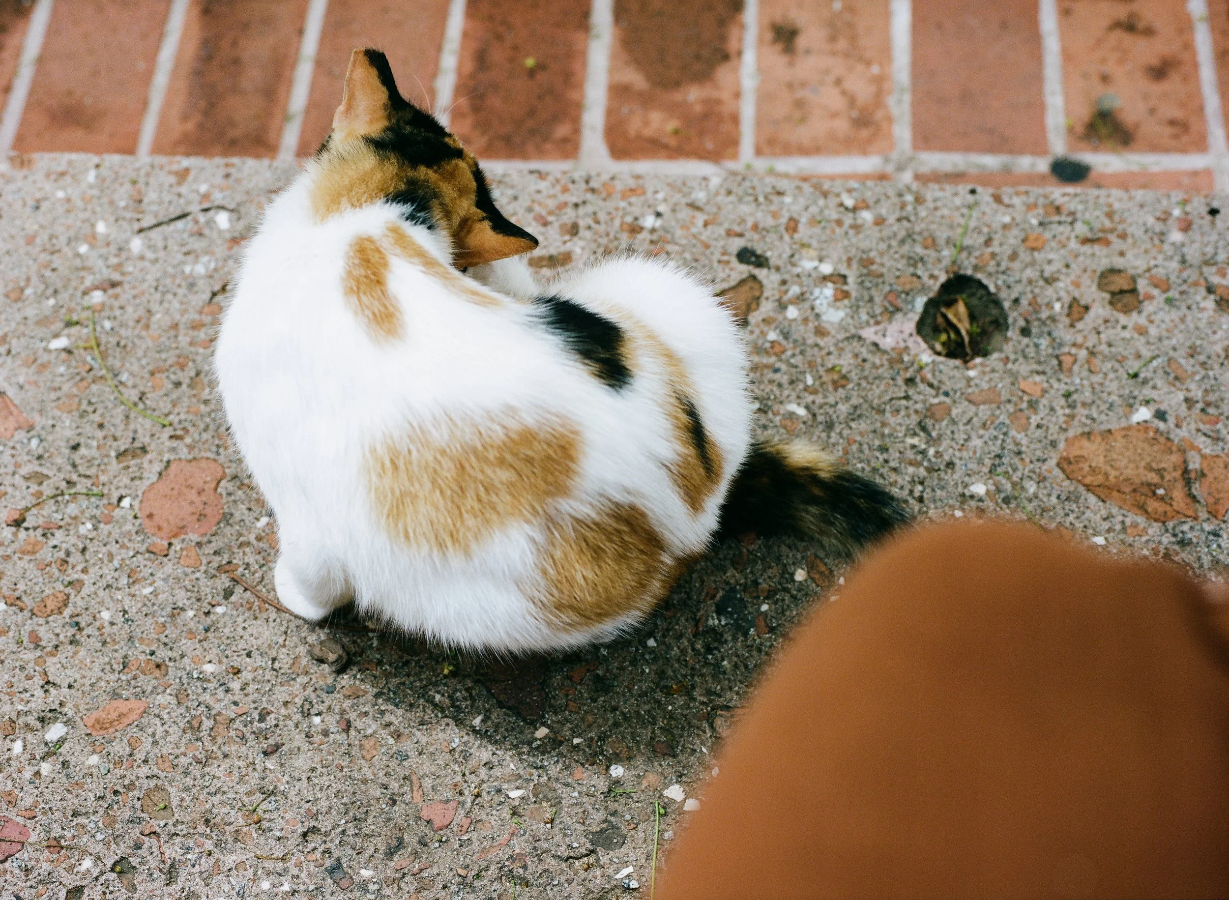 wixproj (12 of 74).jpg