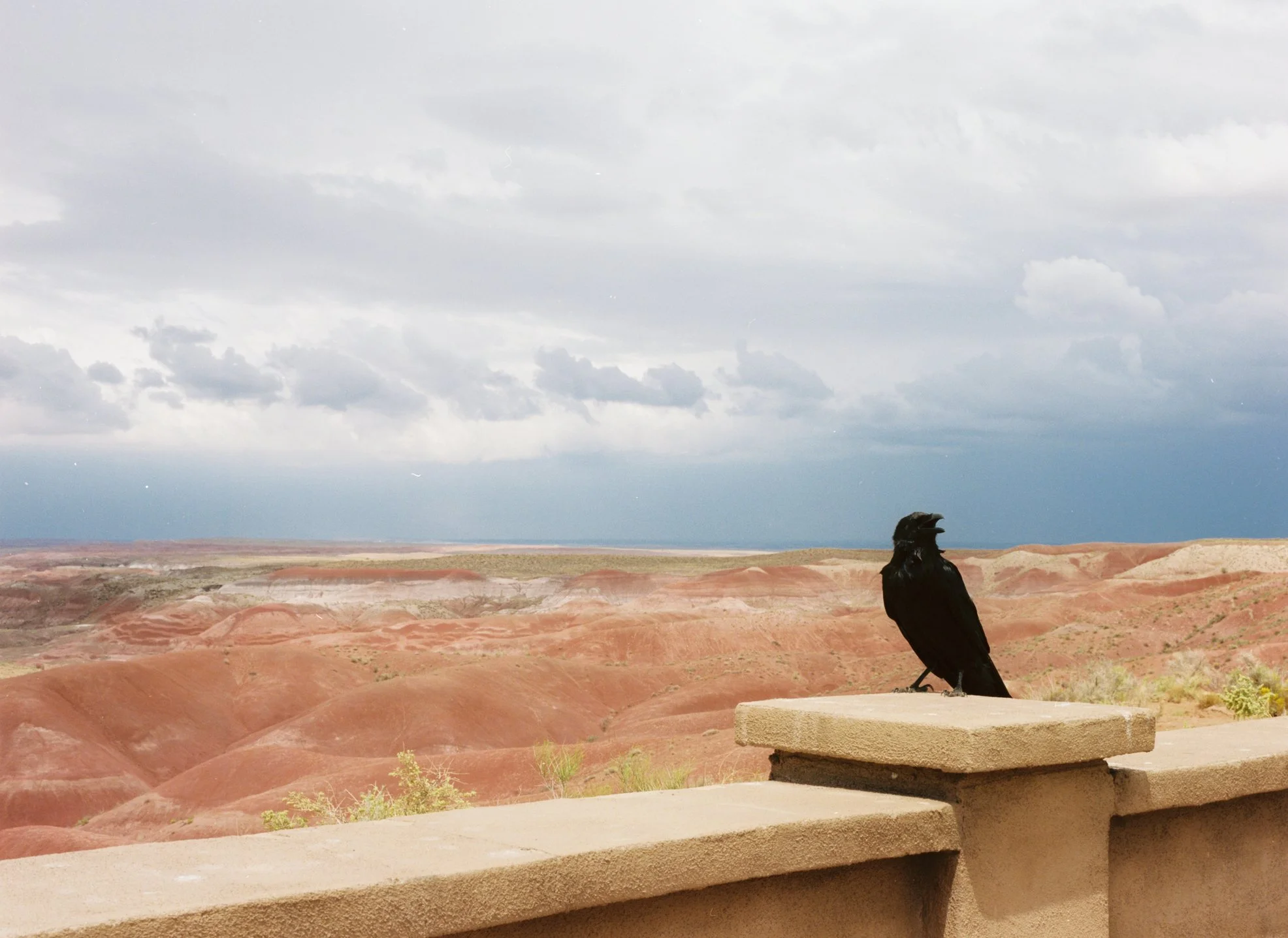 wixproj (18 of 74).jpg