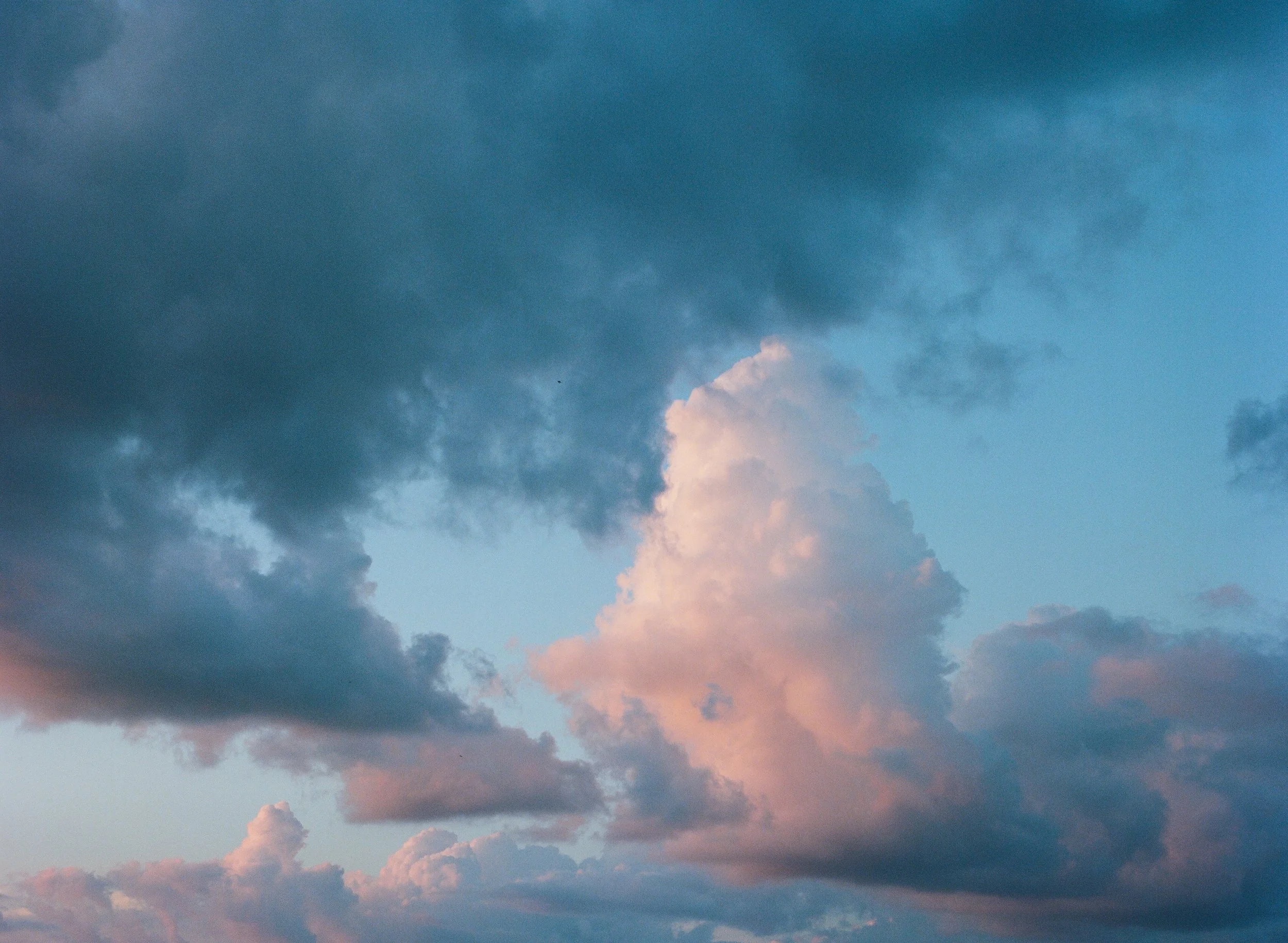 wixproj (42 of 74).jpg