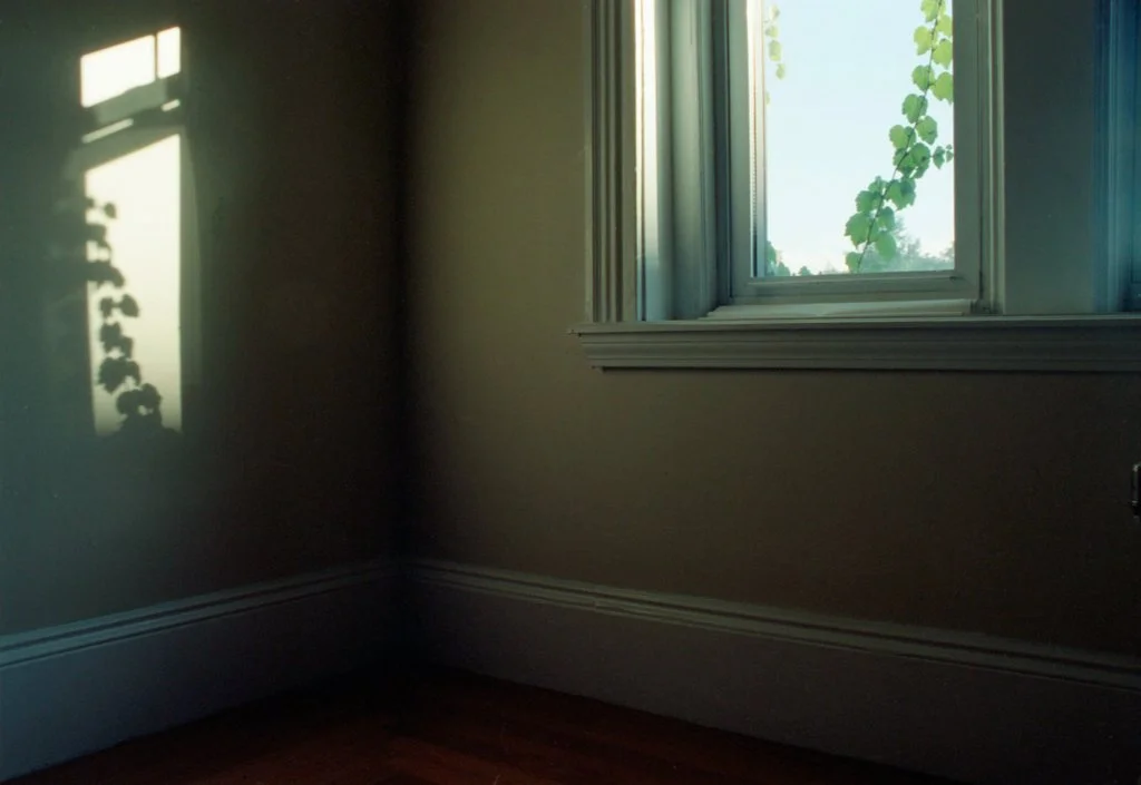 wixproj (61 of 74).jpg