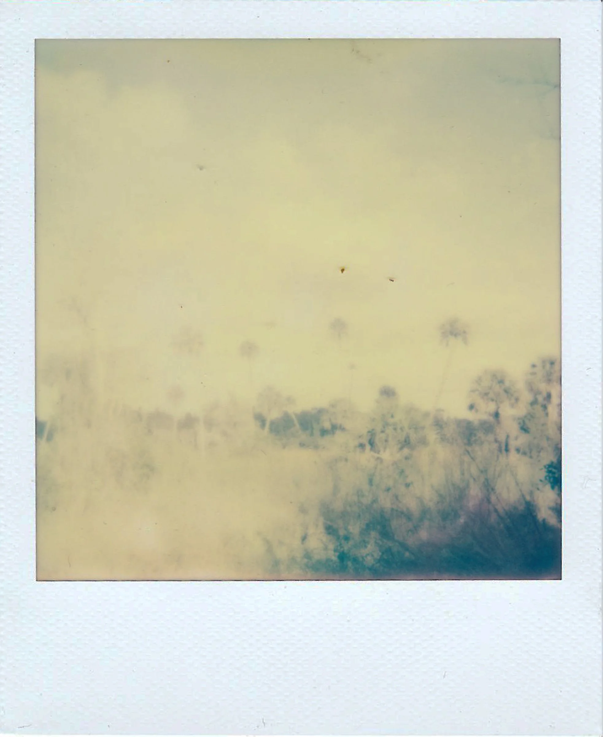Polaroids-7.jpg