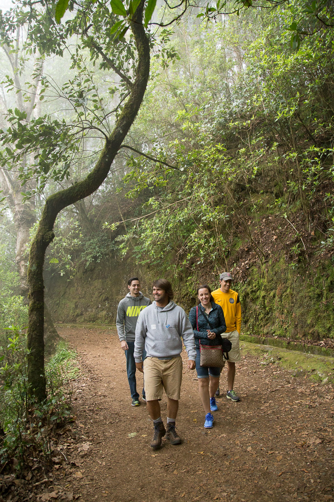 Hiking in Ribeiro Frio