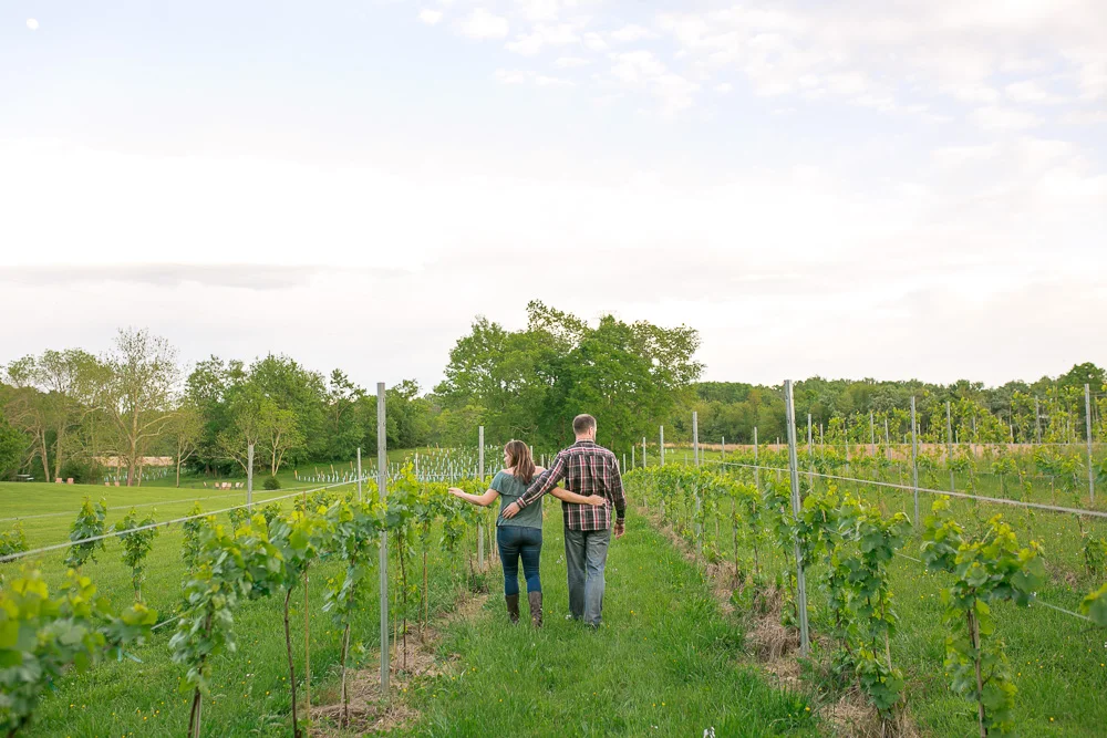 Mountain Run Winery | Culpeper, VA