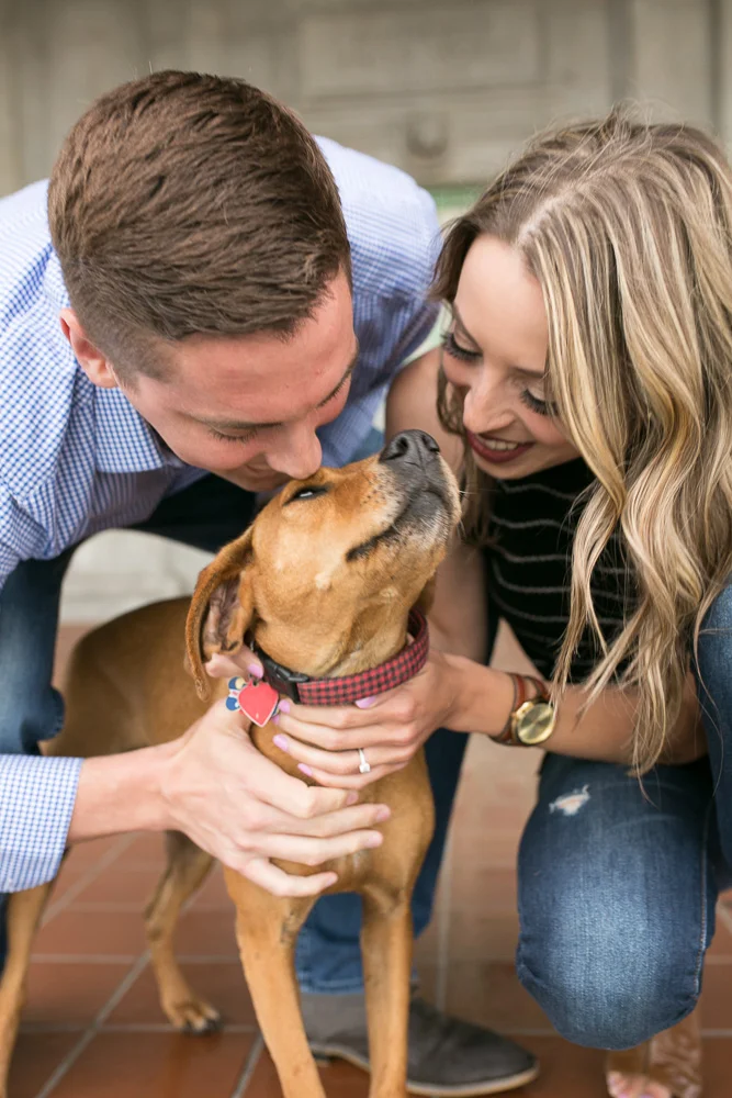 Pet photographer | Rochester NY Photography