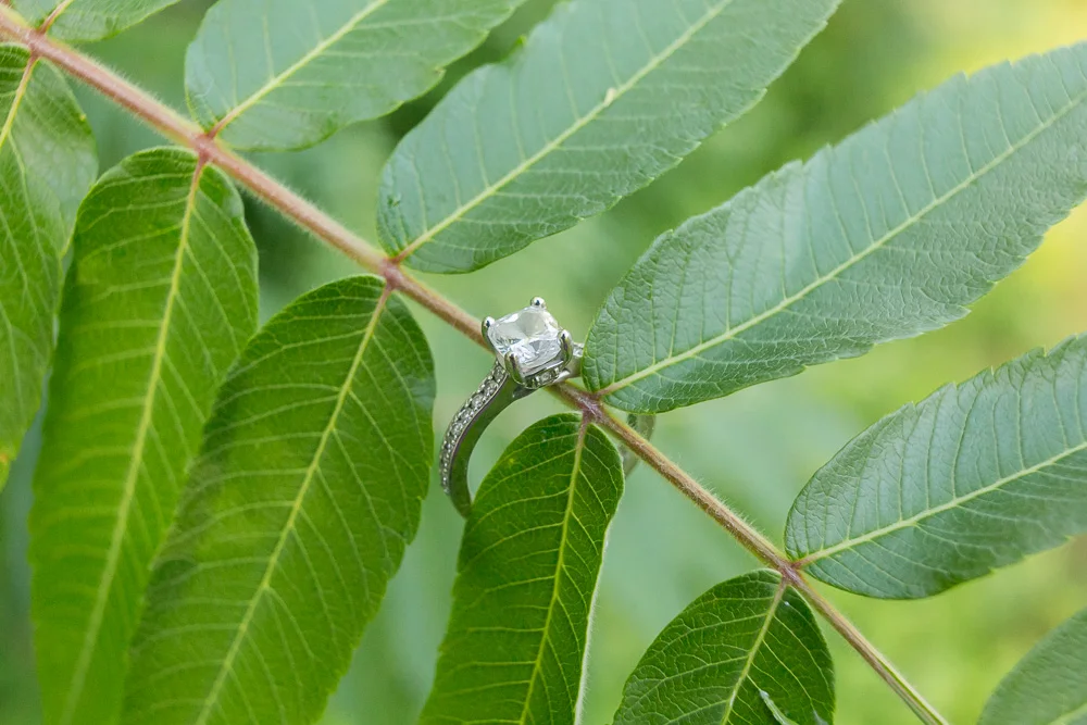 Engagement ring at Cobbs Hill Park