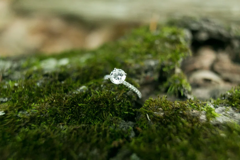 Engagement photos at Prince William Forest Park