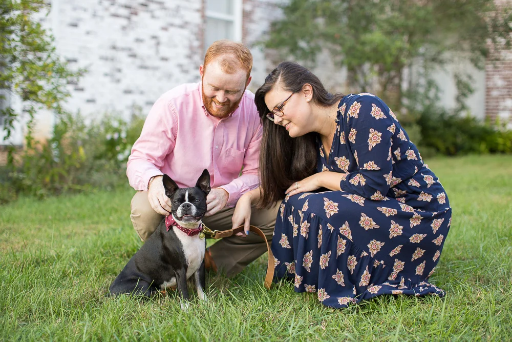 Boston Terrier at engagement shoot in Northern Virginia | Bealeton, Virginia Photographer