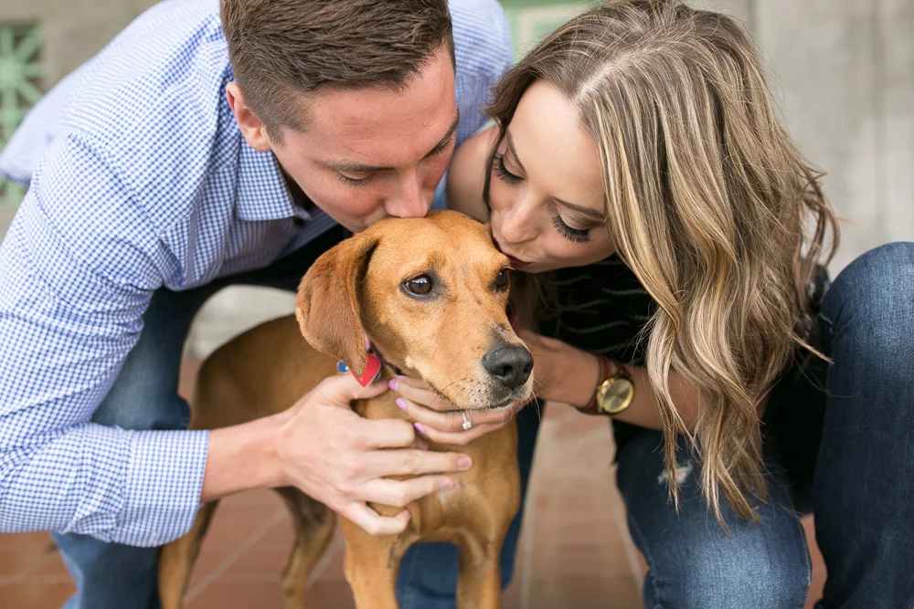 Dog kisses during the engagement session | Northern Virginia Dog Photography