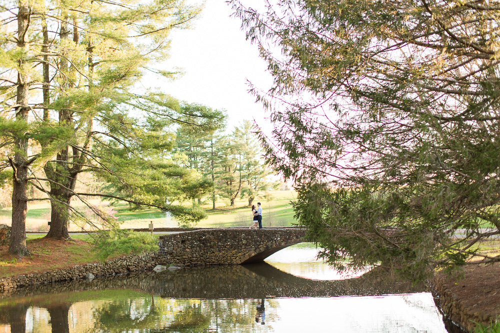 Beautiful landscape engagement photo in Warrenton, VA | Warrenton Virginia Wedding Photographer