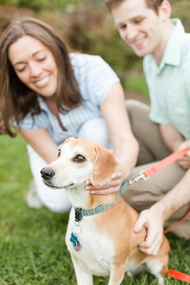 Candid picture petting their dog during engagement photos | Fauquier County Wedding Photographer | Megan Rei Photography